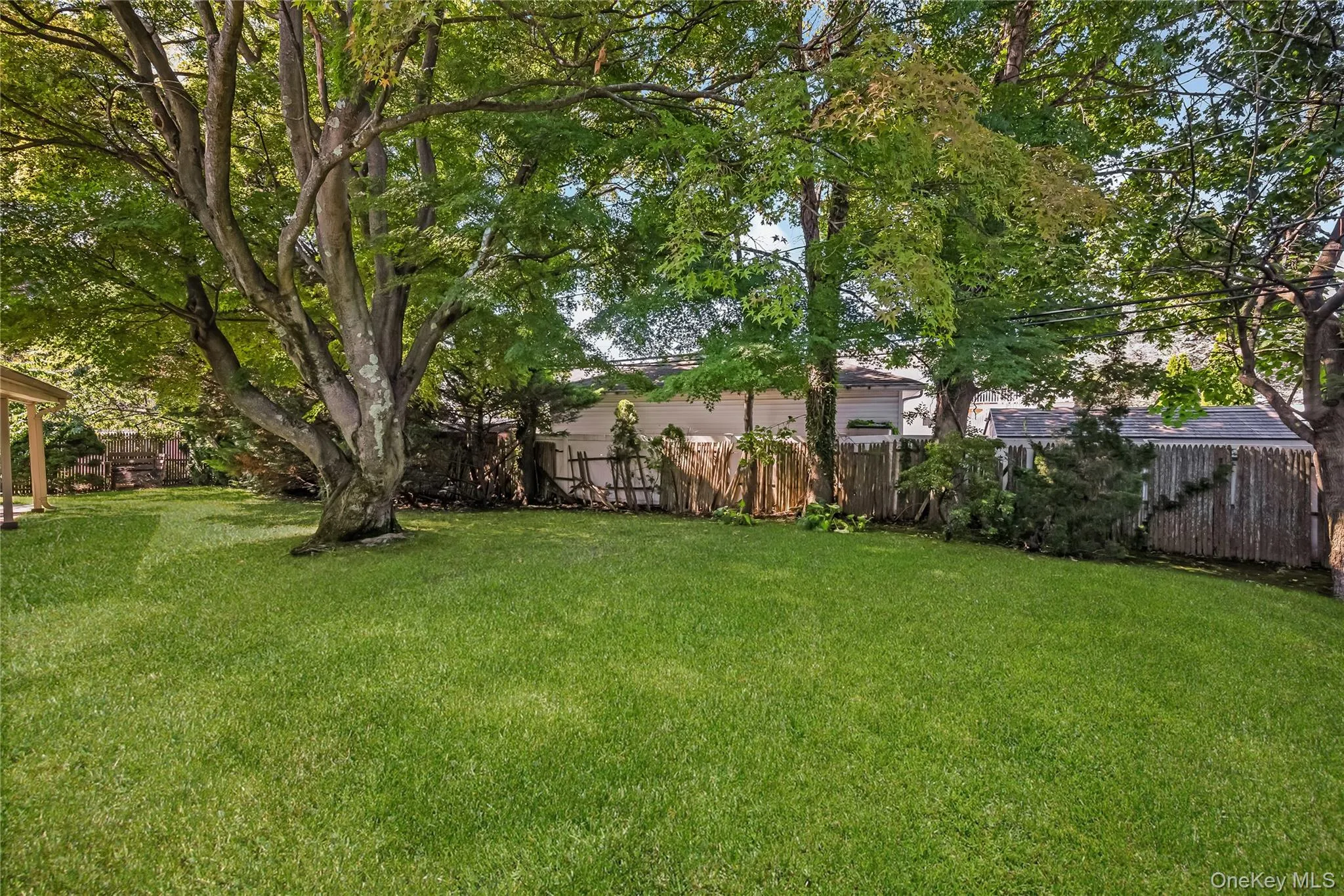 Beautiful yard with mature trees and covered patio. Grass virtually enhanced Beautiful yard with mature trees and covered patio. Grass virtually enhanced