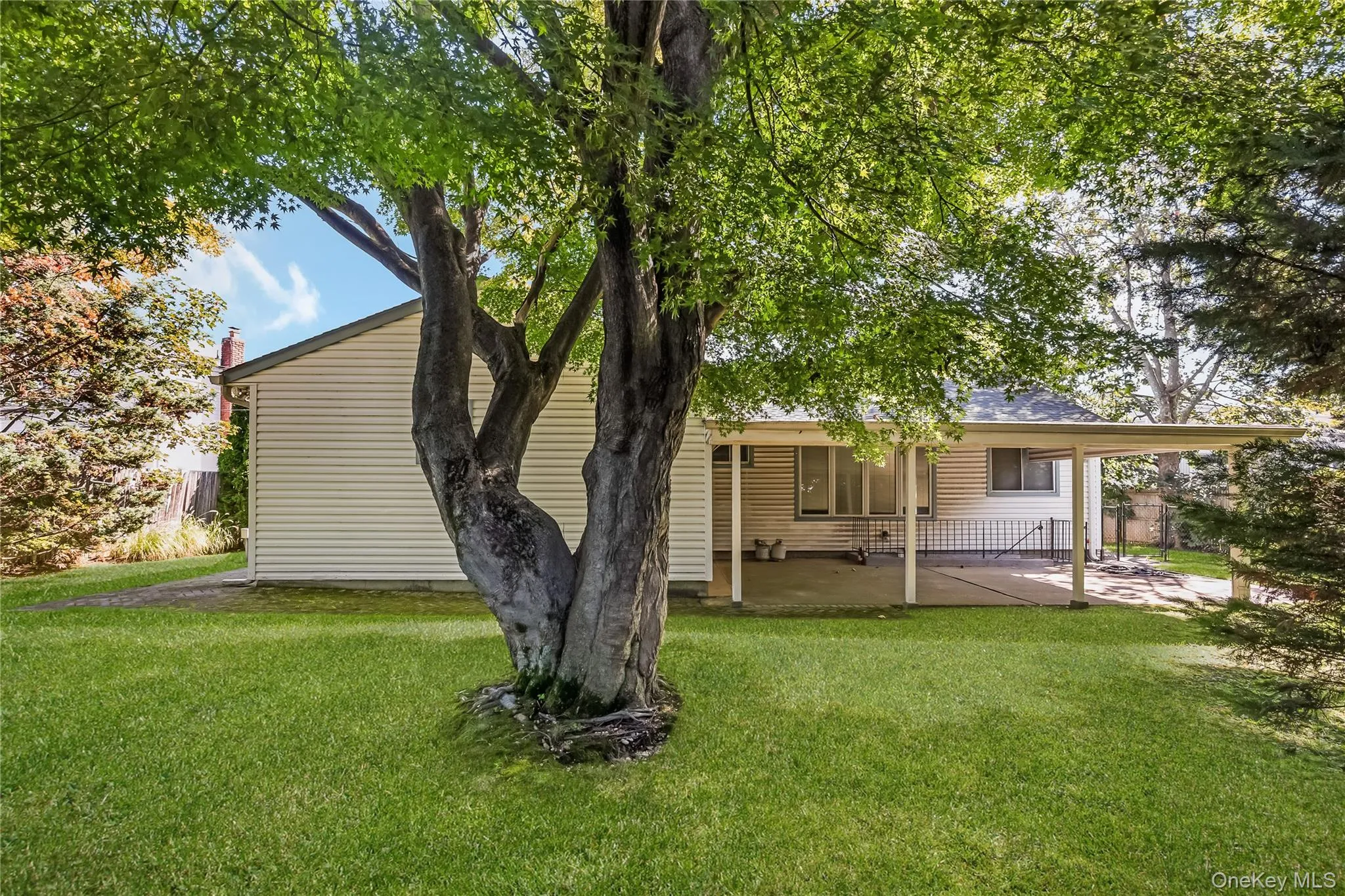 Beautiful yard with mature trees and covered patio. Grass virtually enhanced Beautiful yard with mature trees and covered patio. Grass virtually enhanced