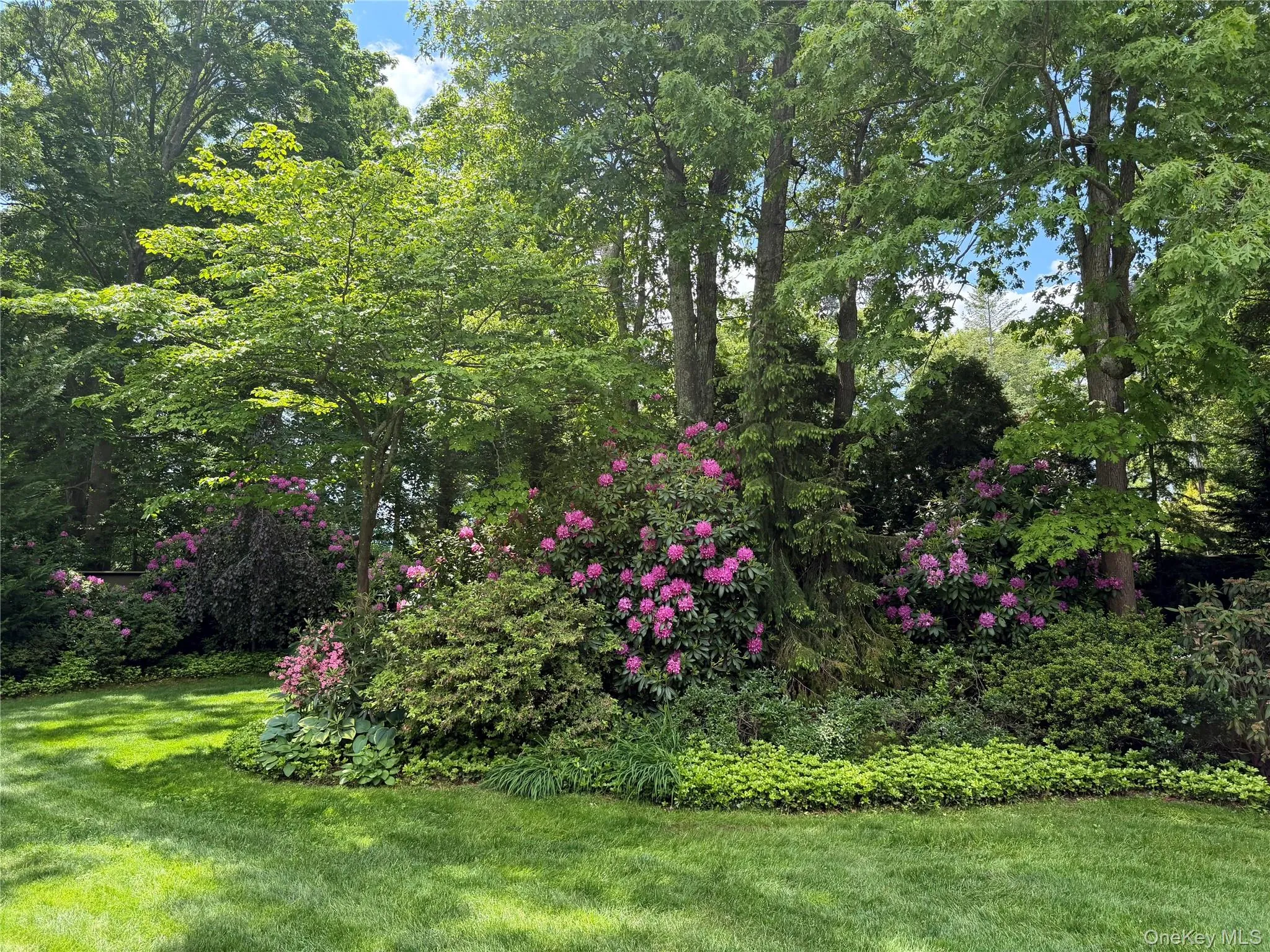 39 Daly Court, Riverhead, NY, 3 Bedrooms Bedrooms, 5 Rooms Rooms,2 BathroomsBathrooms,Residential,For Rent,Daly,0,1048021 39 Daly Court, Riverhead, NY, 3 Bedrooms Bedrooms, 5 Rooms Rooms,2 BathroomsBathrooms,Residential,For Rent,Daly,0,1048021