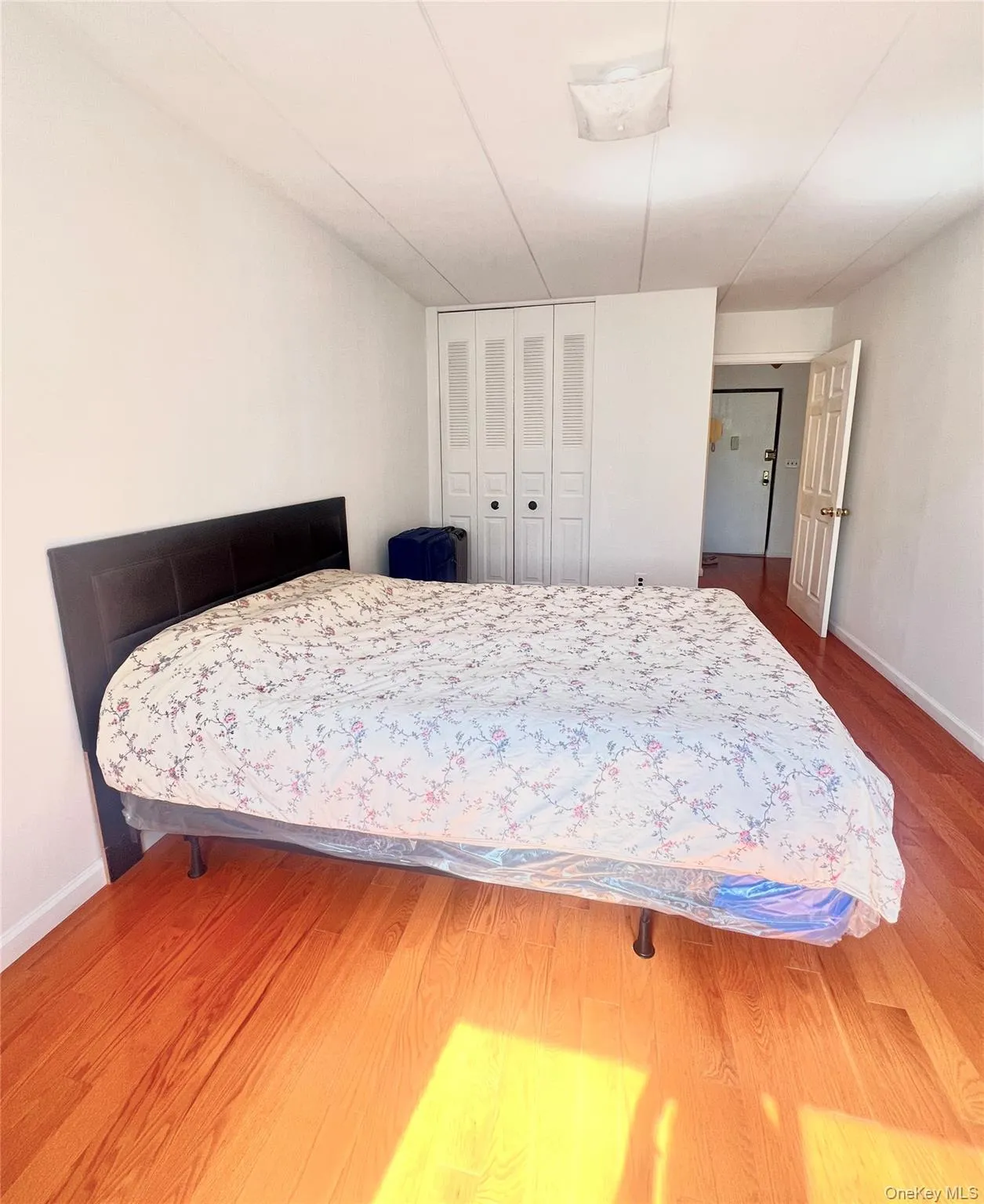 56-16 Seabury Street, New York, NY, 1 Bedroom Bedrooms, 3 Rooms Rooms,1 BathroomBathrooms,Residential,For Rent,Seabury,0,1048049 56-16 Seabury Street, New York, NY, 1 Bedroom Bedrooms, 3 Rooms Rooms,1 BathroomBathrooms,Residential,For Rent,Seabury,0,1048049