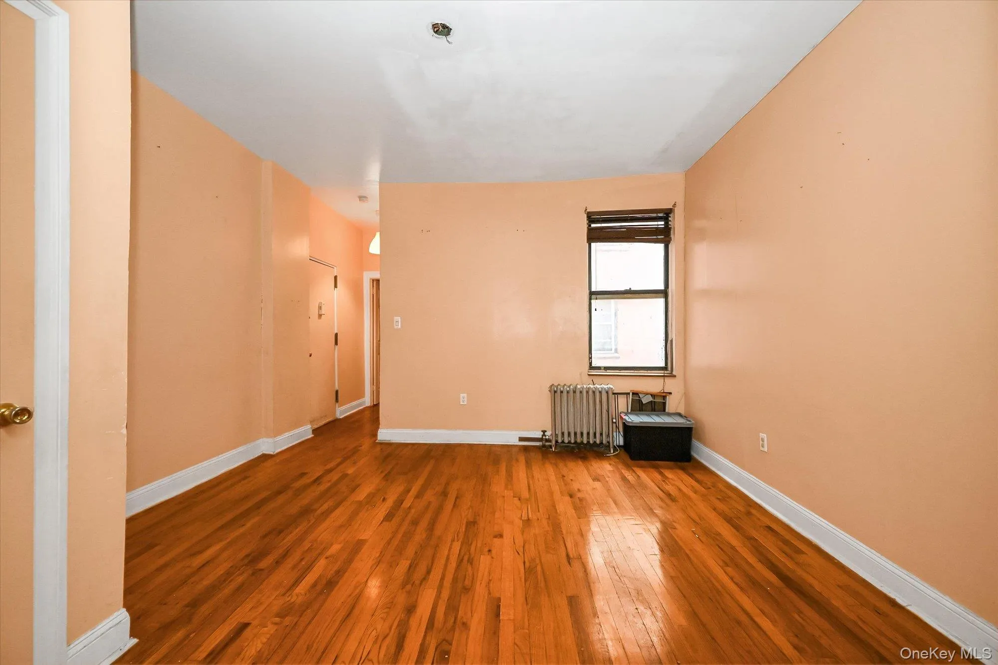 1057 Eastern Parkway, New York, NY, 3 Bedrooms Bedrooms, 5 Rooms Rooms,1 BathroomBathrooms,Residential,For Rent,Eastern Parkway,0,1048051 1057 Eastern Parkway, New York, NY, 3 Bedrooms Bedrooms, 5 Rooms Rooms,1 BathroomBathrooms,Residential,For Rent,Eastern Parkway,0,1048051
