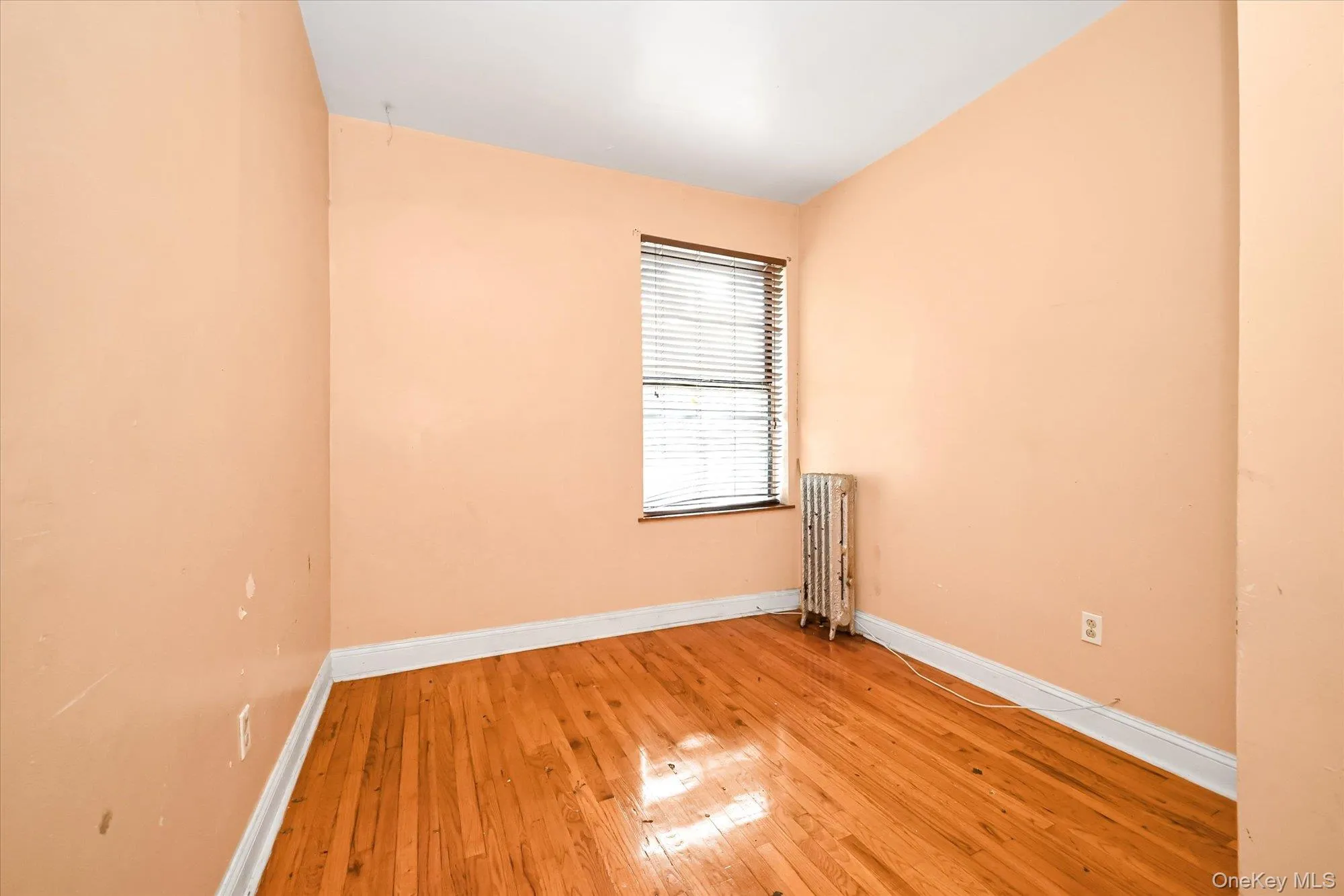 1057 Eastern Parkway, New York, NY, 3 Bedrooms Bedrooms, 5 Rooms Rooms,1 BathroomBathrooms,Residential,For Rent,Eastern Parkway,0,1048051 1057 Eastern Parkway, New York, NY, 3 Bedrooms Bedrooms, 5 Rooms Rooms,1 BathroomBathrooms,Residential,For Rent,Eastern Parkway,0,1048051