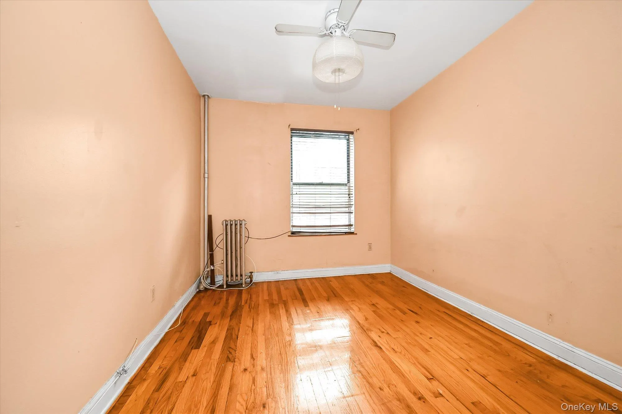 1057 Eastern Parkway, New York, NY, 3 Bedrooms Bedrooms, 5 Rooms Rooms,1 BathroomBathrooms,Residential,For Rent,Eastern Parkway,0,1048051 1057 Eastern Parkway, New York, NY, 3 Bedrooms Bedrooms, 5 Rooms Rooms,1 BathroomBathrooms,Residential,For Rent,Eastern Parkway,0,1048051
