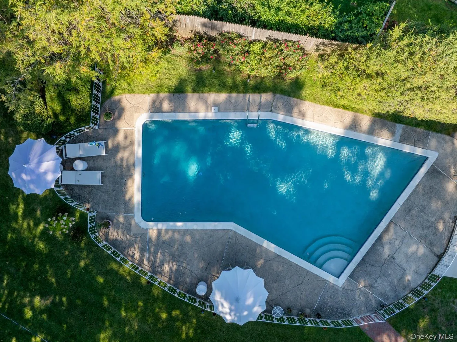 Bird's eye view of a pool Bird's eye view of a pool