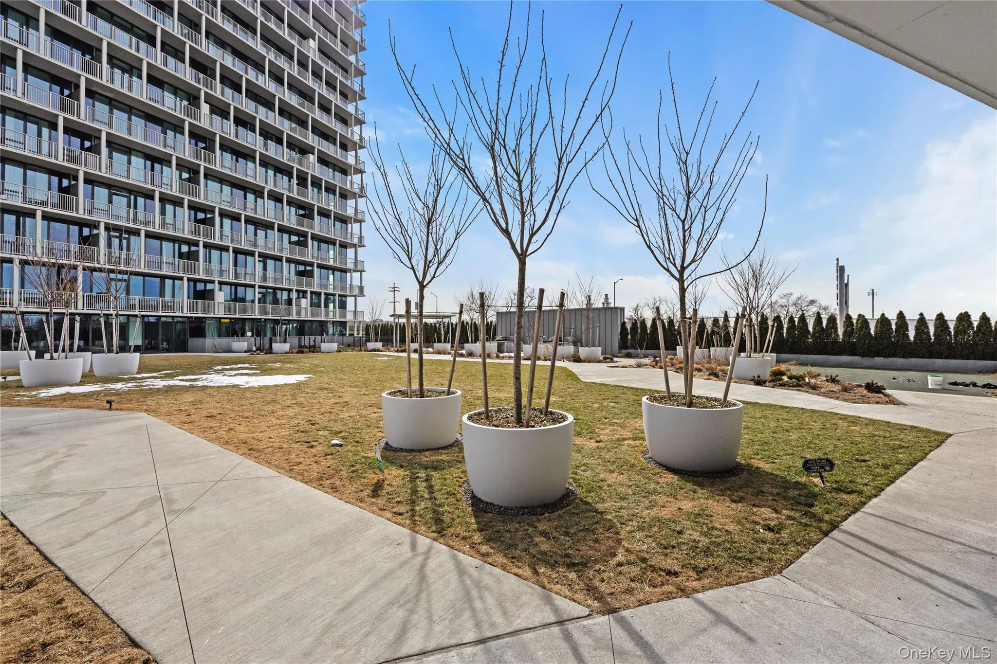 131-02A 40th Road, New York, NY, 1 Bedroom Bedrooms, 3 Rooms Rooms,1 BathroomBathrooms,Residential,For Rent,40th Road,0,1048118 131-02A 40th Road, New York, NY, 1 Bedroom Bedrooms, 3 Rooms Rooms,1 BathroomBathrooms,Residential,For Rent,40th Road,0,1048118