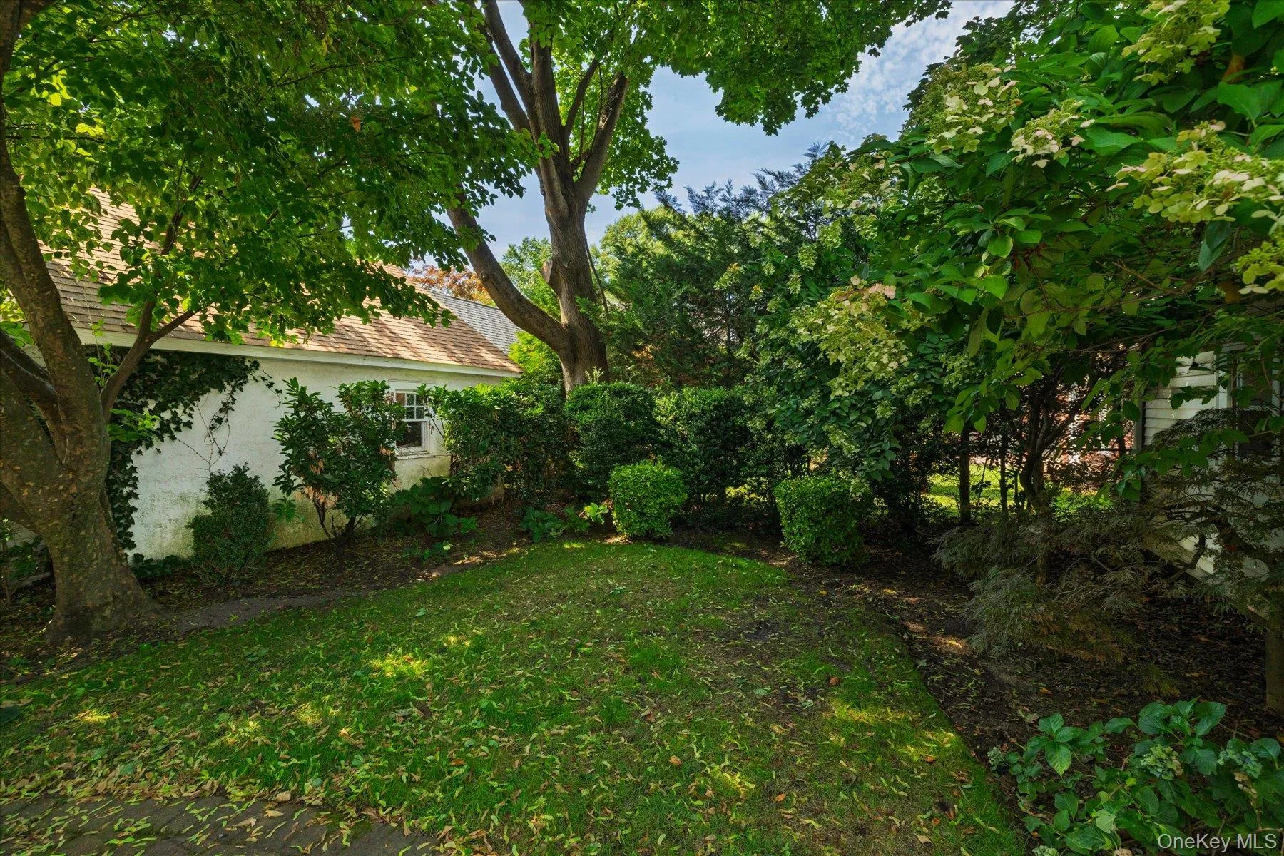 38 Fern Street, Hempstead, NY, 3 Bedrooms Bedrooms, 8 Rooms Rooms,3 BathroomsBathrooms,Residential,For Rent,Fern,0,1048148 38 Fern Street, Hempstead, NY, 3 Bedrooms Bedrooms, 8 Rooms Rooms,3 BathroomsBathrooms,Residential,For Rent,Fern,0,1048148