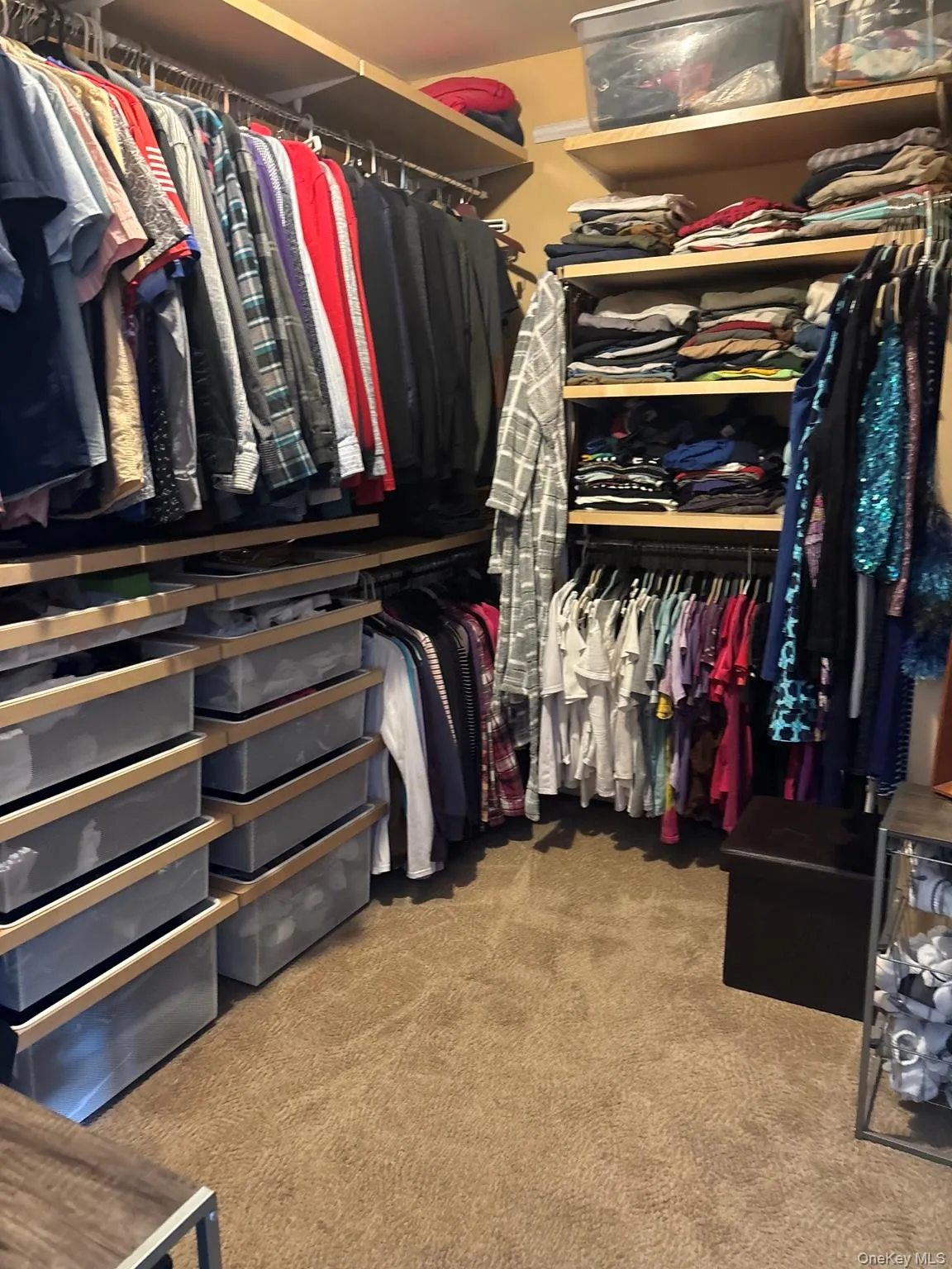 272 Tamerisk Lane, New Windsor, NY, 3 Bedrooms Bedrooms, 6 Rooms Rooms,2 BathroomsBathrooms,Residential,For Rent,Tamerisk,0,1048171 272 Tamerisk Lane, New Windsor, NY, 3 Bedrooms Bedrooms, 6 Rooms Rooms,2 BathroomsBathrooms,Residential,For Rent,Tamerisk,0,1048171