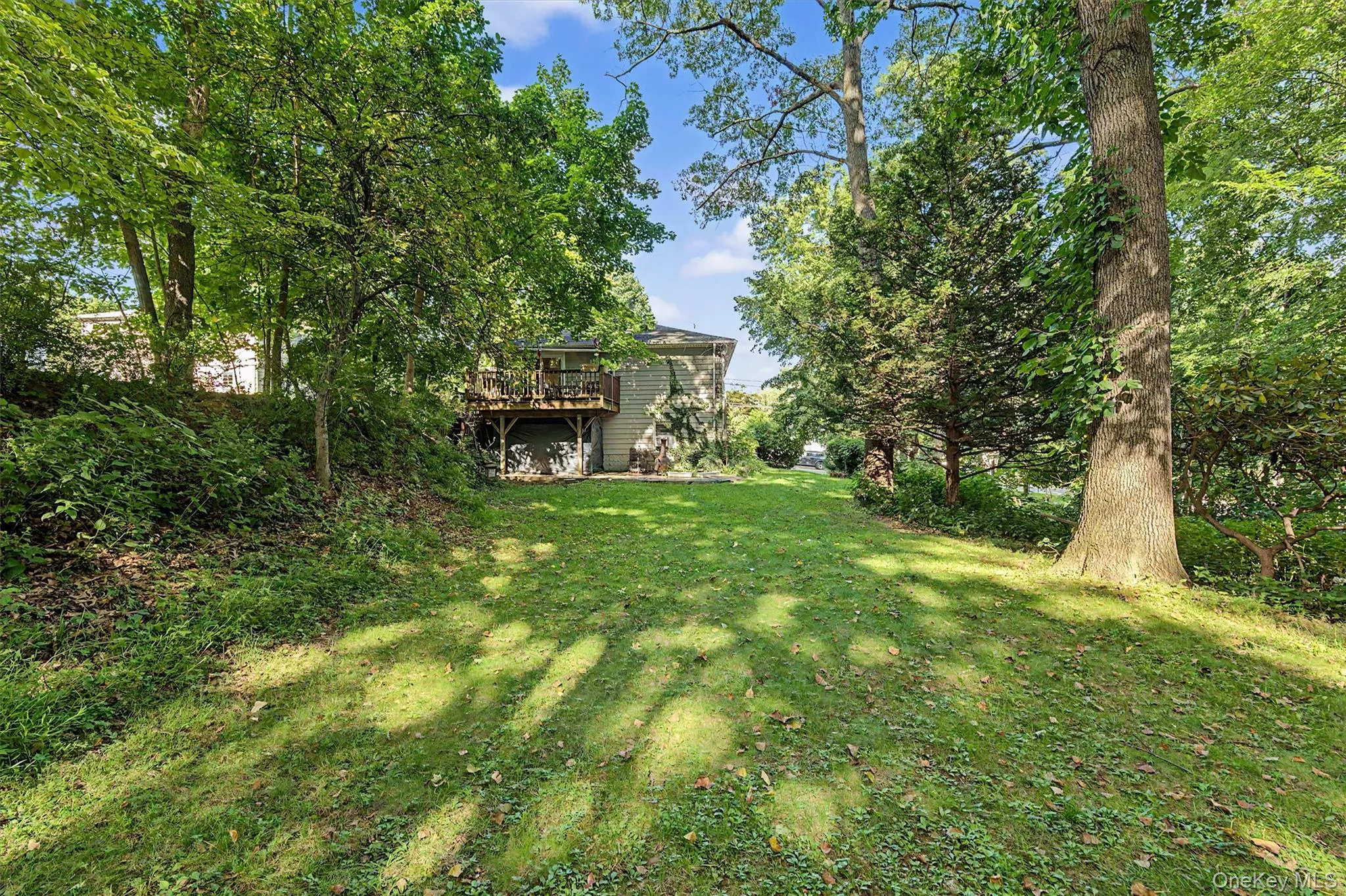 Backyard Backyard
