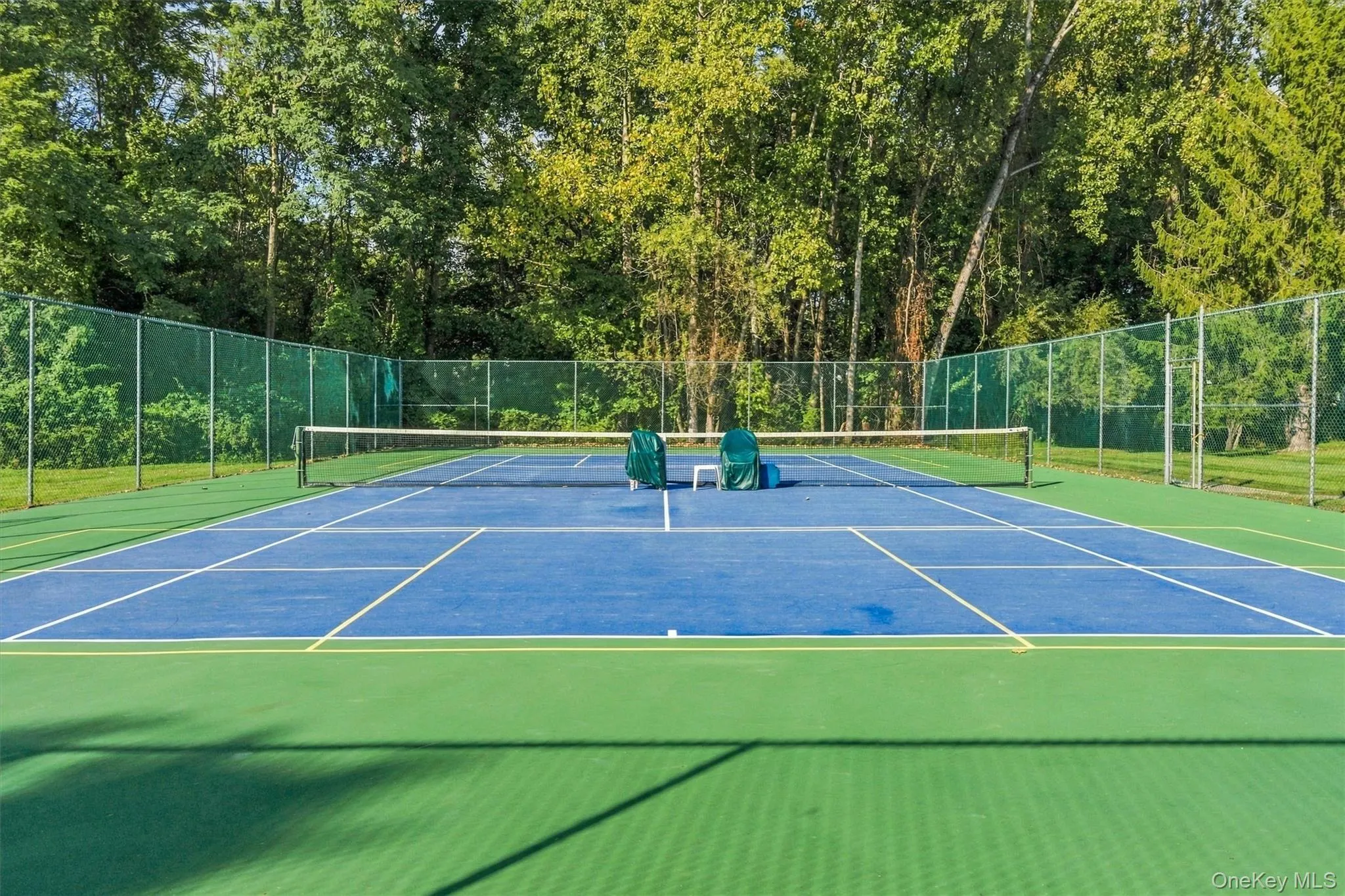 Tennis/Pickleball Tennis/Pickleball