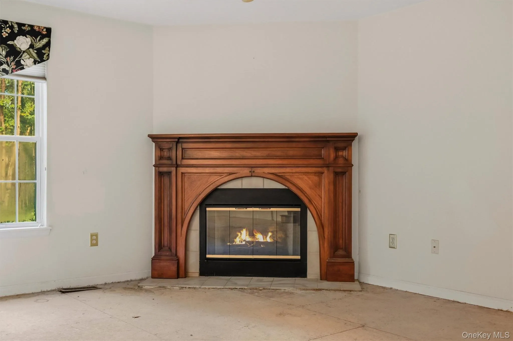 Gas fireplace Gas fireplace