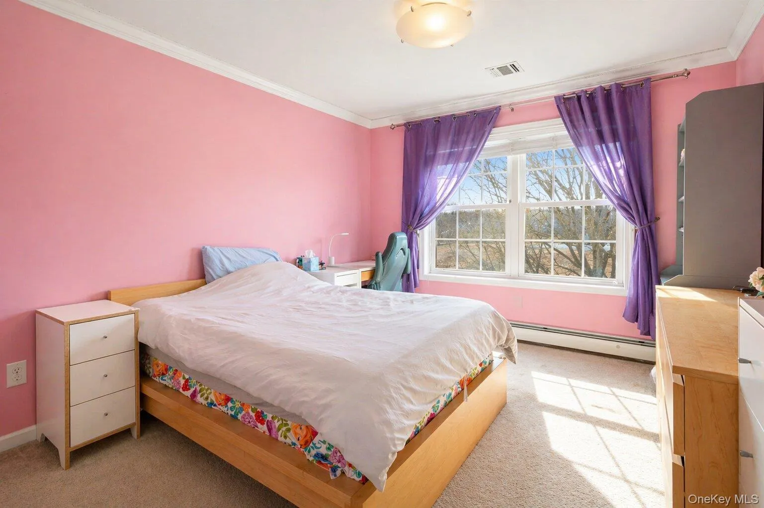 Bright room featuring a large window with sashes, a ceiling-mounted light fixture, and crown molding Bright room featuring a large window with sashes, a ceiling-mounted light fixture, and crown molding