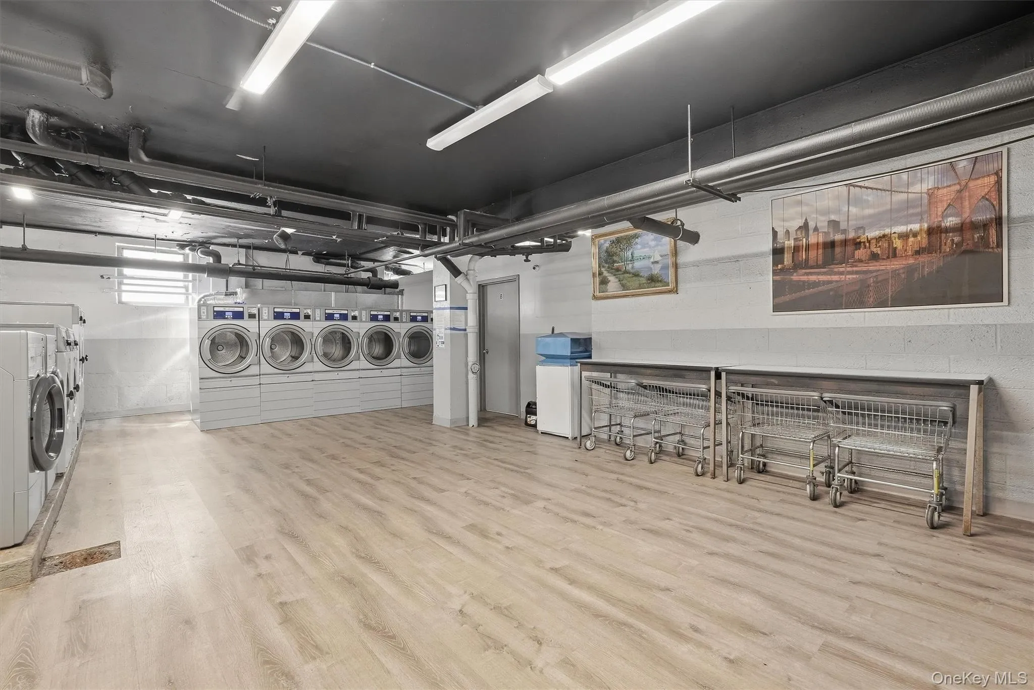 220 Pelham Road, New Rochelle, NY, 1 Bedroom Bedrooms, 3 Rooms Rooms,1 BathroomBathrooms,Residential Lease,For Rent,Pelham,0,1048246 220 Pelham Road, New Rochelle, NY, 1 Bedroom Bedrooms, 3 Rooms Rooms,1 BathroomBathrooms,Residential Lease,For Rent,Pelham,0,1048246