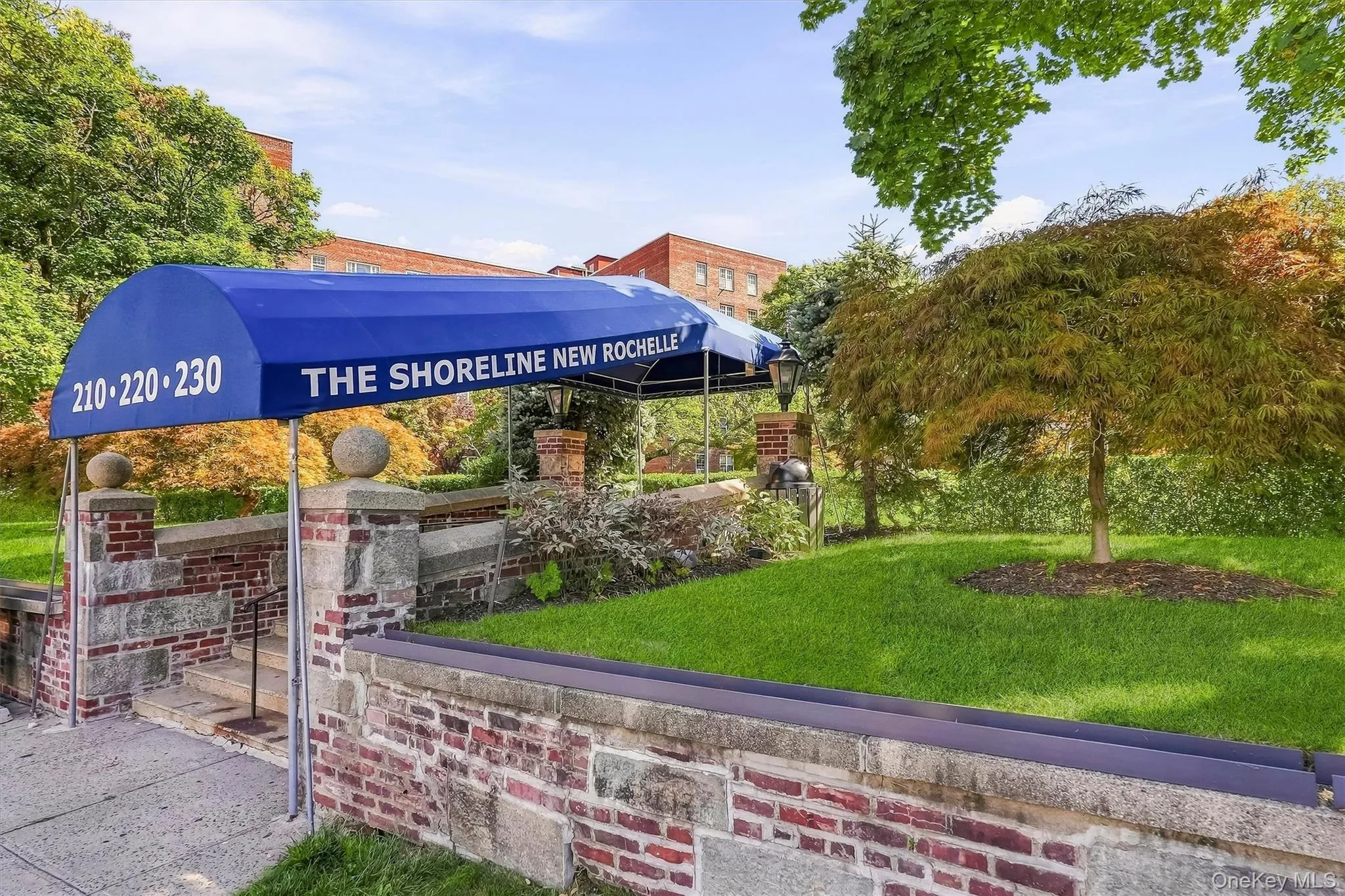 220 Pelham Road, New Rochelle, NY, 1 Bedroom Bedrooms, 3 Rooms Rooms,1 BathroomBathrooms,Residential Lease,For Rent,Pelham,0,1048246 220 Pelham Road, New Rochelle, NY, 1 Bedroom Bedrooms, 3 Rooms Rooms,1 BathroomBathrooms,Residential Lease,For Rent,Pelham,0,1048246
