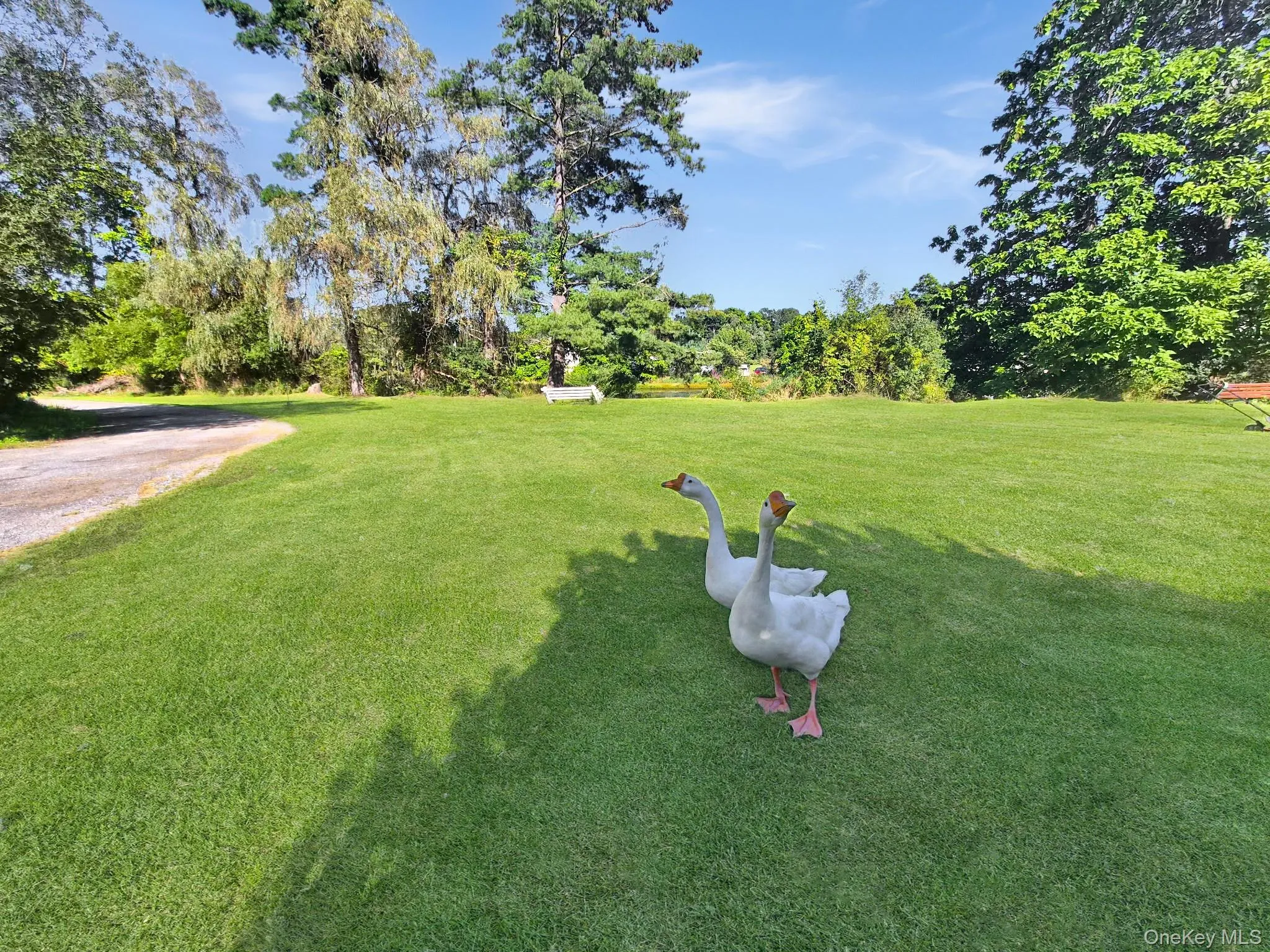81 Old Unionville Road, Plattekill, NY, 3 Bedrooms Bedrooms, 7 Rooms Rooms,2 BathroomsBathrooms,Residential,For Rent,Old Unionville,0,1048252 81 Old Unionville Road, Plattekill, NY, 3 Bedrooms Bedrooms, 7 Rooms Rooms,2 BathroomsBathrooms,Residential,For Rent,Old Unionville,0,1048252