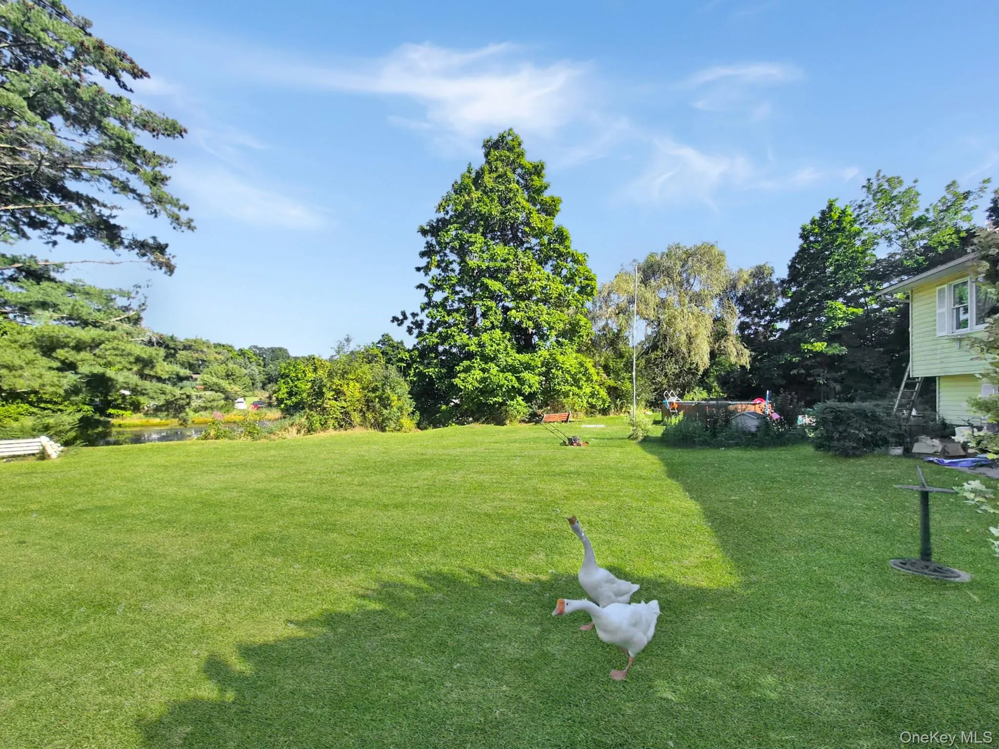 81 Old Unionville Road, Plattekill, NY, 3 Bedrooms Bedrooms, 7 Rooms Rooms,2 BathroomsBathrooms,Residential,For Rent,Old Unionville,0,1048252 81 Old Unionville Road, Plattekill, NY, 3 Bedrooms Bedrooms, 7 Rooms Rooms,2 BathroomsBathrooms,Residential,For Rent,Old Unionville,0,1048252