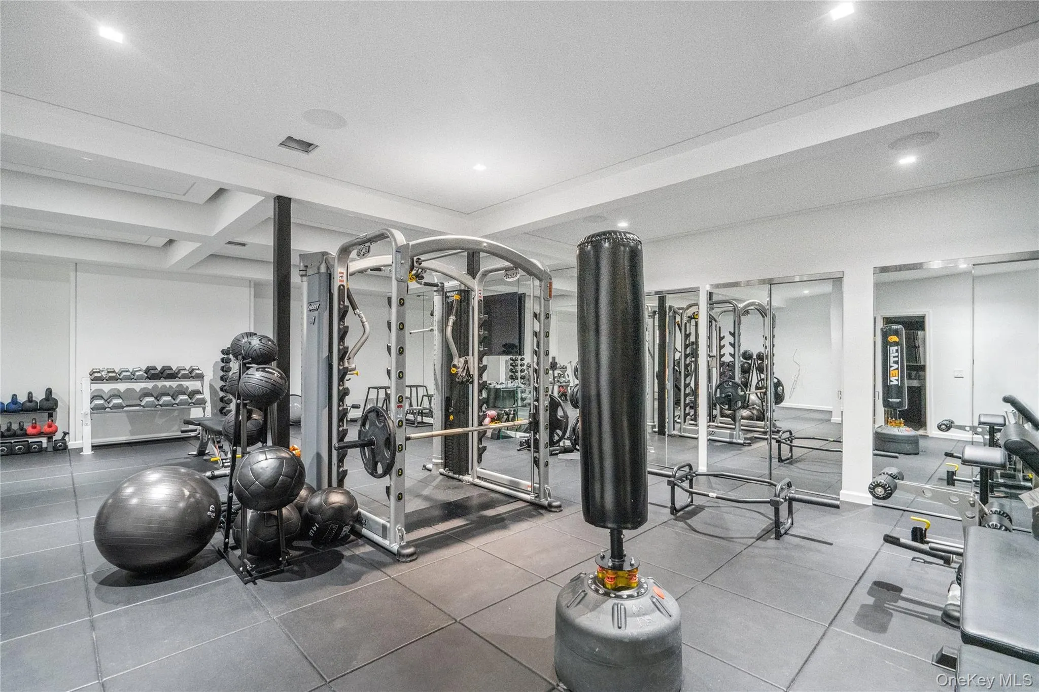 Luxury fully-equipped gym Luxury fully-equipped gym