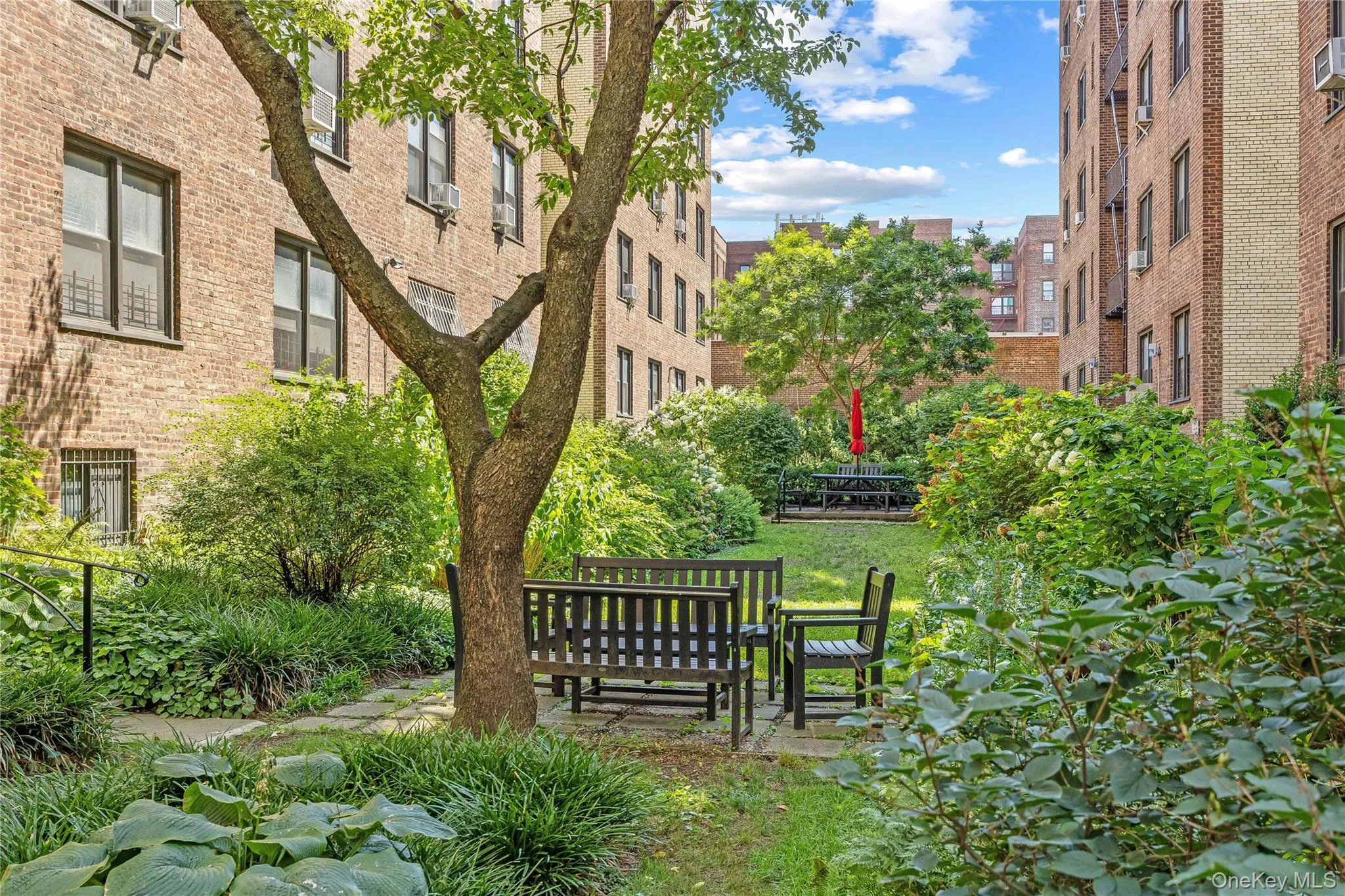 35-35 75th Street, New York, NY, 3 Rooms Rooms,1 BathroomBathrooms,Residential,For Rent,75th,0,1048275 35-35 75th Street, New York, NY, 3 Rooms Rooms,1 BathroomBathrooms,Residential,For Rent,75th,0,1048275