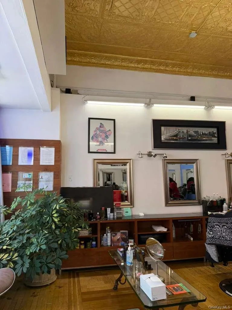 104 Saratoga Avenue, New York, NY, ,Commercial Lease,For Rent,Saratoga Avenue,0,1048283 104 Saratoga Avenue, New York, NY, ,Commercial Lease,For Rent,Saratoga Avenue,0,1048283