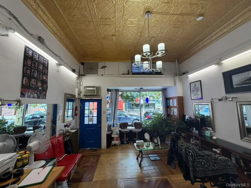 104 Saratoga Avenue, New York, NY, ,Commercial Lease,For Rent,Saratoga Avenue,0,1048283 104 Saratoga Avenue, New York, NY, ,Commercial Lease,For Rent,Saratoga Avenue,0,1048283