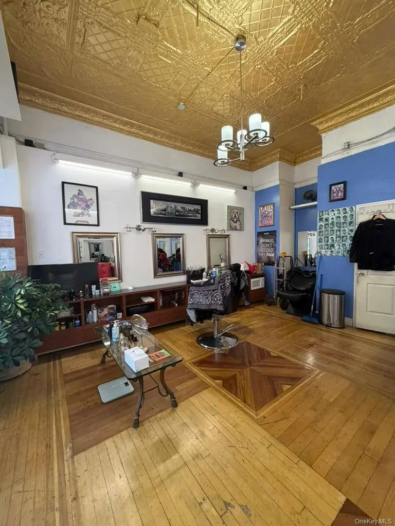 104 Saratoga Avenue, New York, NY, ,Commercial Lease,For Rent,Saratoga Avenue,0,1048283 104 Saratoga Avenue, New York, NY, ,Commercial Lease,For Rent,Saratoga Avenue,0,1048283