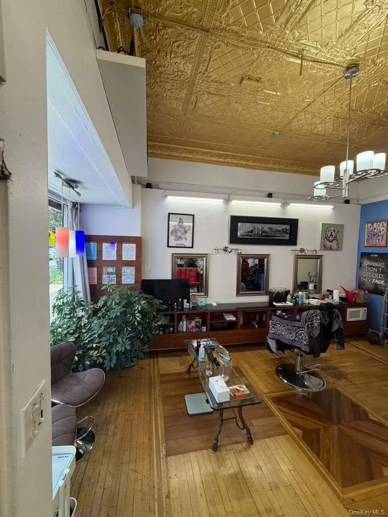 104 Saratoga Avenue, New York, NY, ,Commercial Lease,For Rent,Saratoga Avenue,0,1048283 104 Saratoga Avenue, New York, NY, ,Commercial Lease,For Rent,Saratoga Avenue,0,1048283