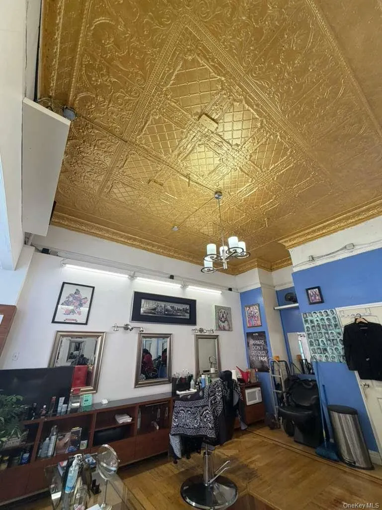 104 Saratoga Avenue, New York, NY, ,Commercial Lease,For Rent,Saratoga Avenue,0,1048283 104 Saratoga Avenue, New York, NY, ,Commercial Lease,For Rent,Saratoga Avenue,0,1048283