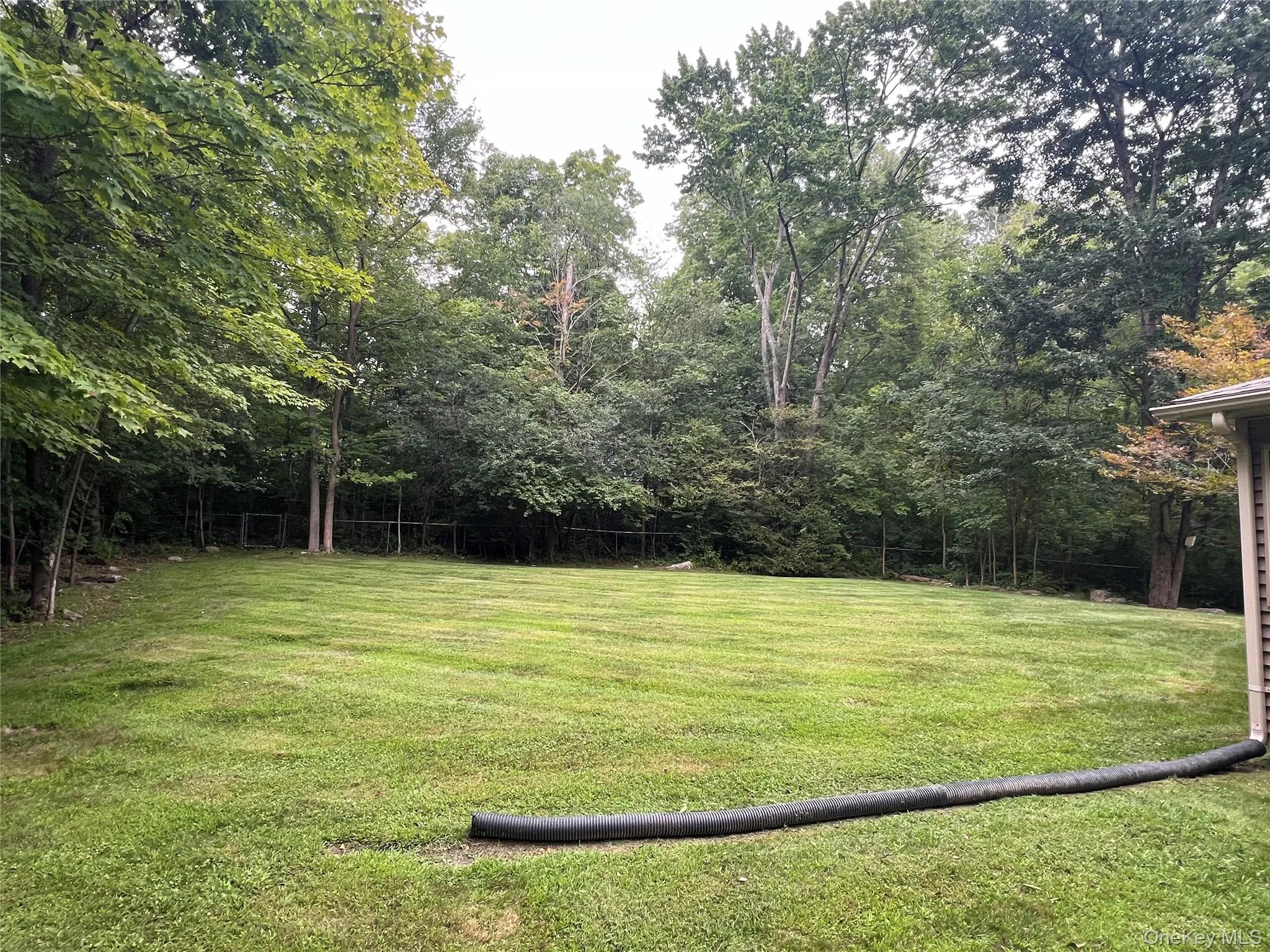 50 Cocoa Lane, Newburgh (town), NY, 3 Bedrooms Bedrooms, 9 Rooms Rooms,2 BathroomsBathrooms,Residential,For Rent,Cocoa,0,1048360 50 Cocoa Lane, Newburgh (town), NY, 3 Bedrooms Bedrooms, 9 Rooms Rooms,2 BathroomsBathrooms,Residential,For Rent,Cocoa,0,1048360