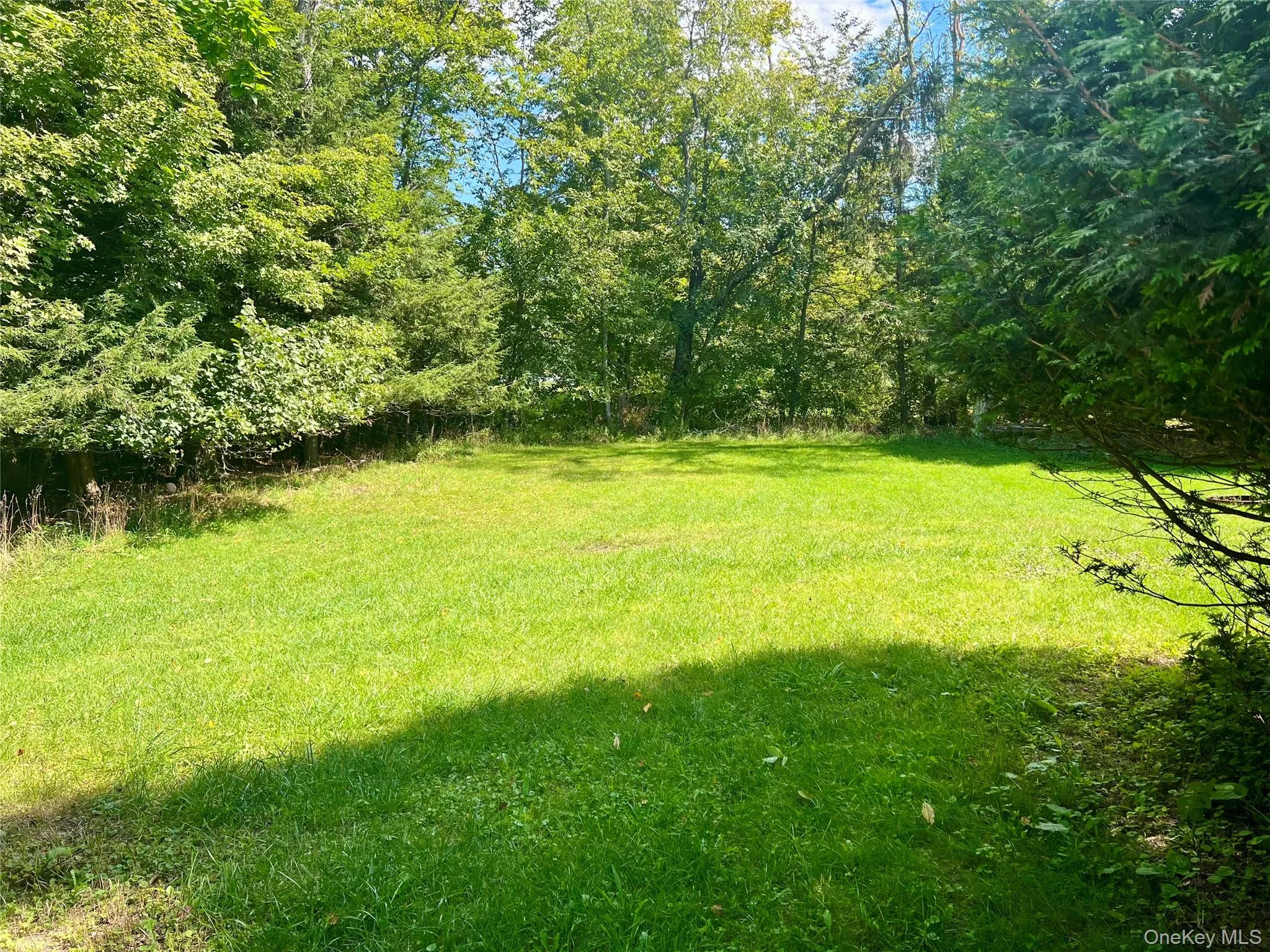 Expansive grass lawn with surrounding mature trees and natural landscaping Expansive grass lawn with surrounding mature trees and natural landscaping
