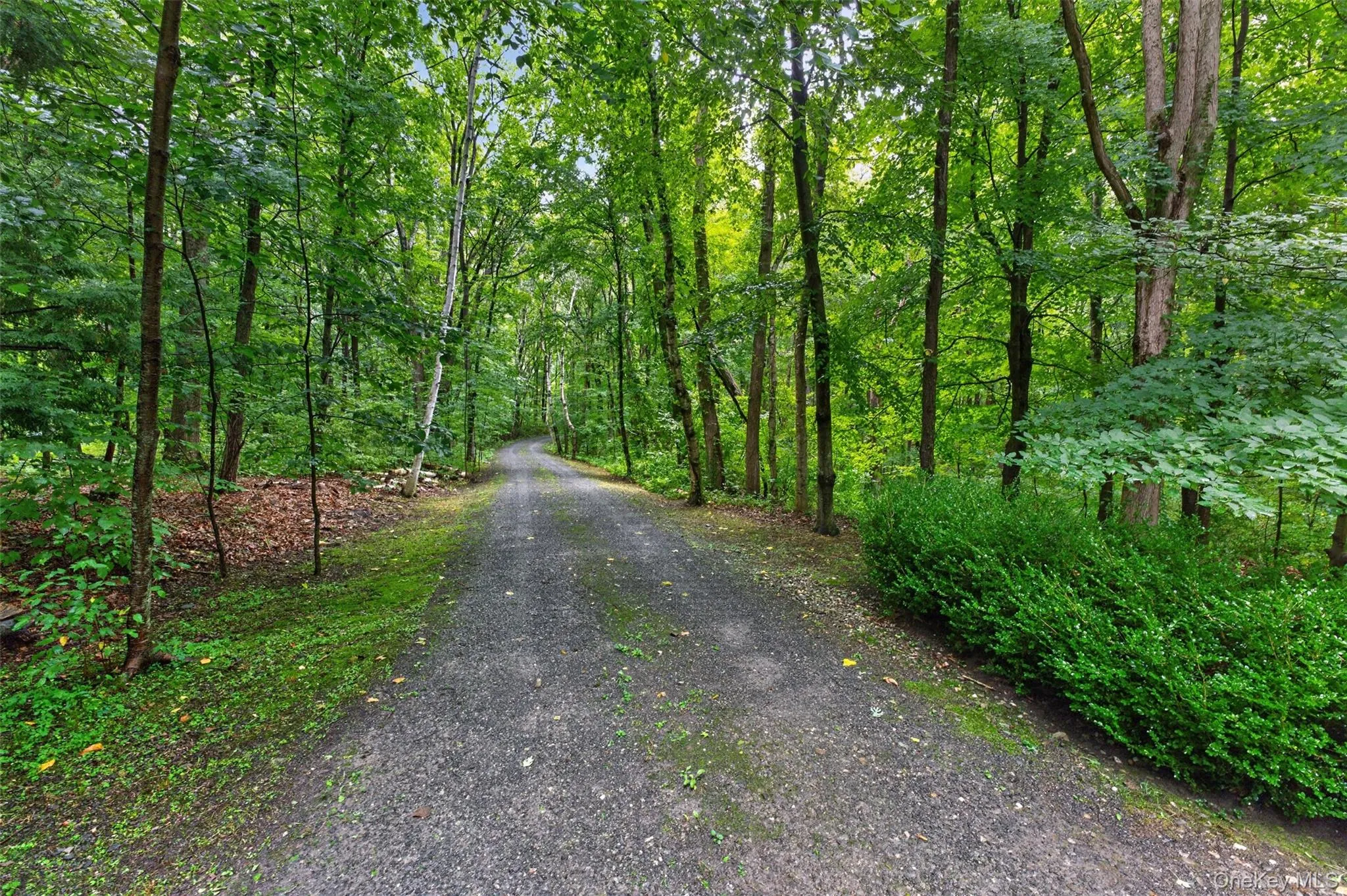 224 Under Mountain Road, Ancram, NY, 3 Bedrooms Bedrooms, 8 Rooms Rooms,2 BathroomsBathrooms,Residential,For Rent,Under Mountain,0,1048408 224 Under Mountain Road, Ancram, NY, 3 Bedrooms Bedrooms, 8 Rooms Rooms,2 BathroomsBathrooms,Residential,For Rent,Under Mountain,0,1048408