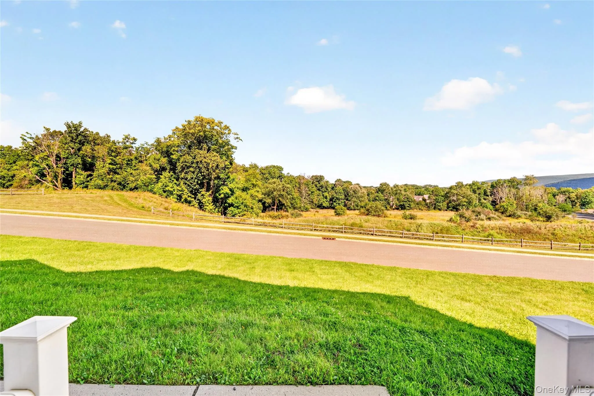 Expansive grassy yard with mature trees Expansive grassy yard with mature trees
