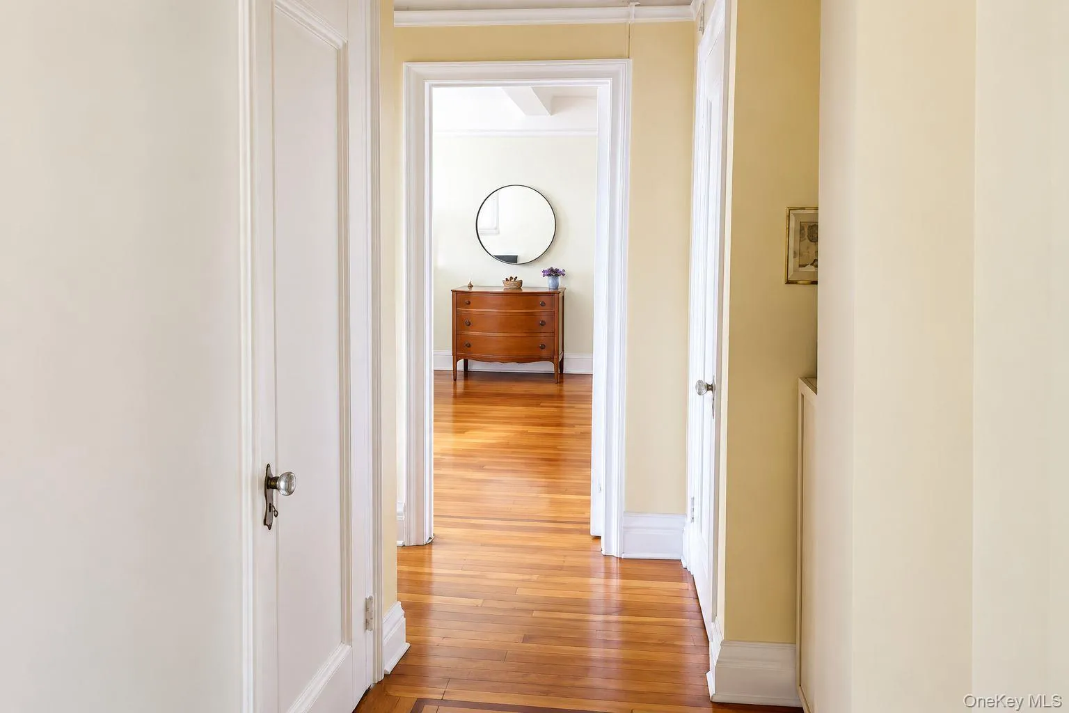 83-00 Talbot Street, New York, NY, 1 Bedroom Bedrooms, 4 Rooms Rooms,1 BathroomBathrooms,Residential Lease,For Rent,Talbot,0,1048468 83-00 Talbot Street, New York, NY, 1 Bedroom Bedrooms, 4 Rooms Rooms,1 BathroomBathrooms,Residential Lease,For Rent,Talbot,0,1048468