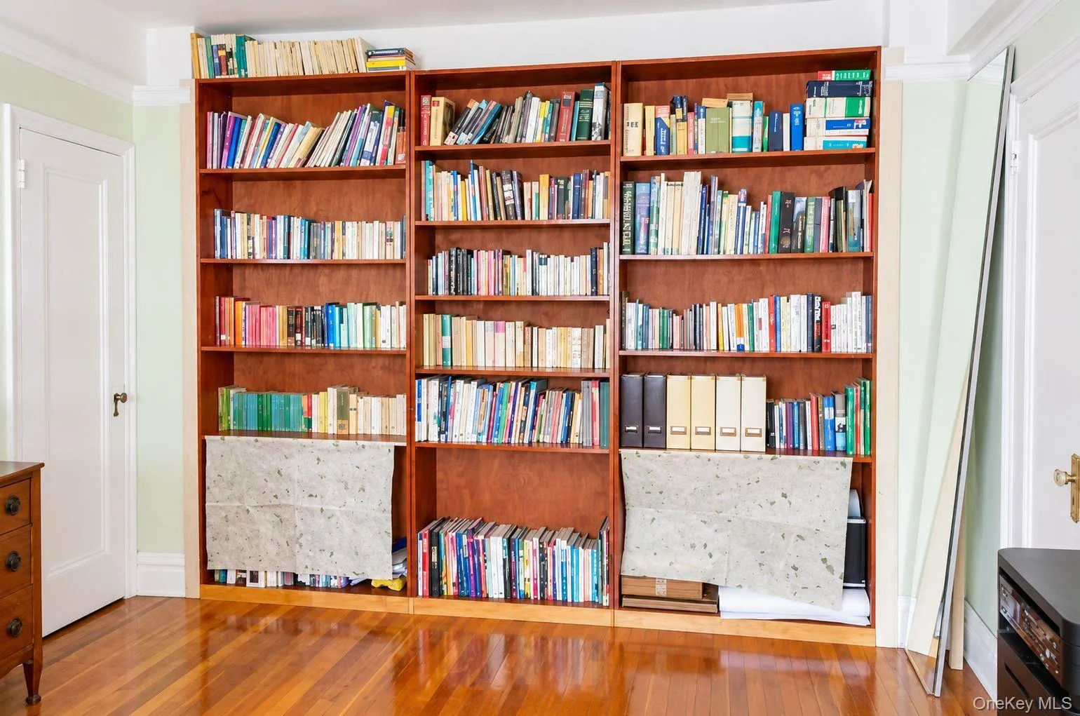 83-00 Talbot Street, New York, NY, 1 Bedroom Bedrooms, 4 Rooms Rooms,1 BathroomBathrooms,Residential Lease,For Rent,Talbot,0,1048468 83-00 Talbot Street, New York, NY, 1 Bedroom Bedrooms, 4 Rooms Rooms,1 BathroomBathrooms,Residential Lease,For Rent,Talbot,0,1048468