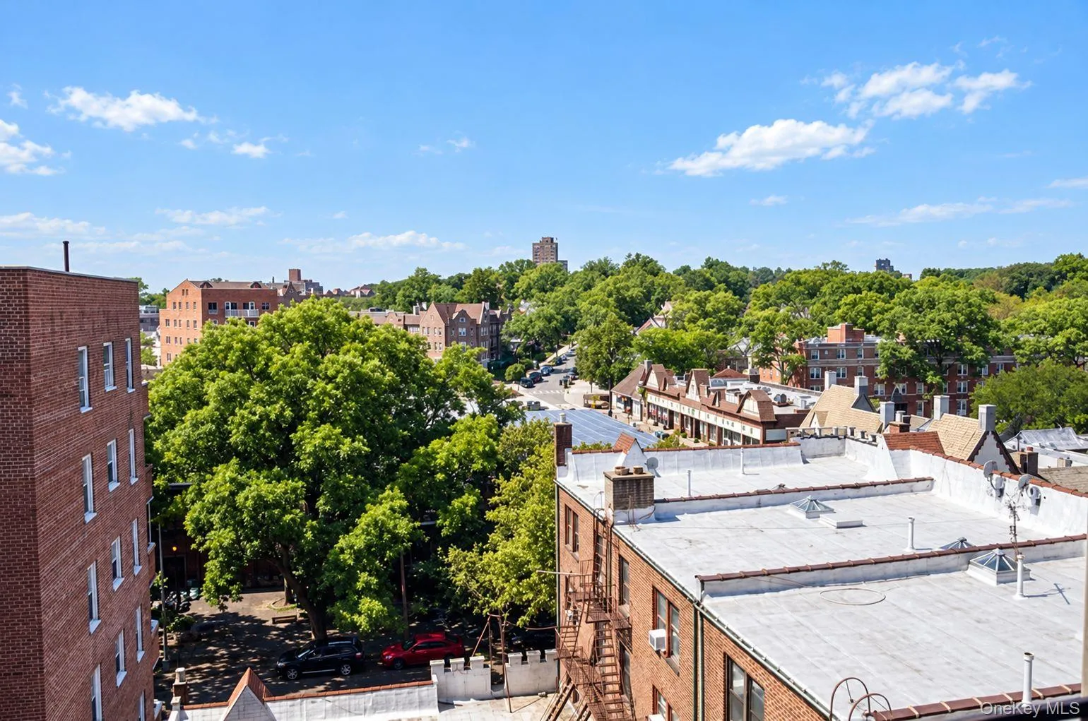 83-00 Talbot Street, New York, NY, 1 Bedroom Bedrooms, 4 Rooms Rooms,1 BathroomBathrooms,Residential Lease,For Rent,Talbot,0,1048468 83-00 Talbot Street, New York, NY, 1 Bedroom Bedrooms, 4 Rooms Rooms,1 BathroomBathrooms,Residential Lease,For Rent,Talbot,0,1048468