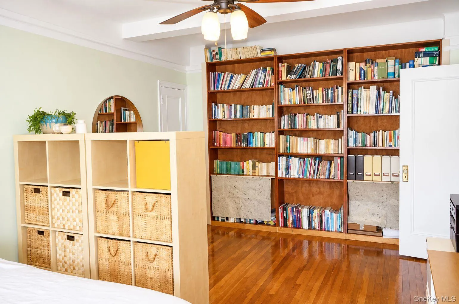 83-00 Talbot Street, New York, NY, 1 Bedroom Bedrooms, 4 Rooms Rooms,1 BathroomBathrooms,Residential Lease,For Rent,Talbot,0,1048468 83-00 Talbot Street, New York, NY, 1 Bedroom Bedrooms, 4 Rooms Rooms,1 BathroomBathrooms,Residential Lease,For Rent,Talbot,0,1048468
