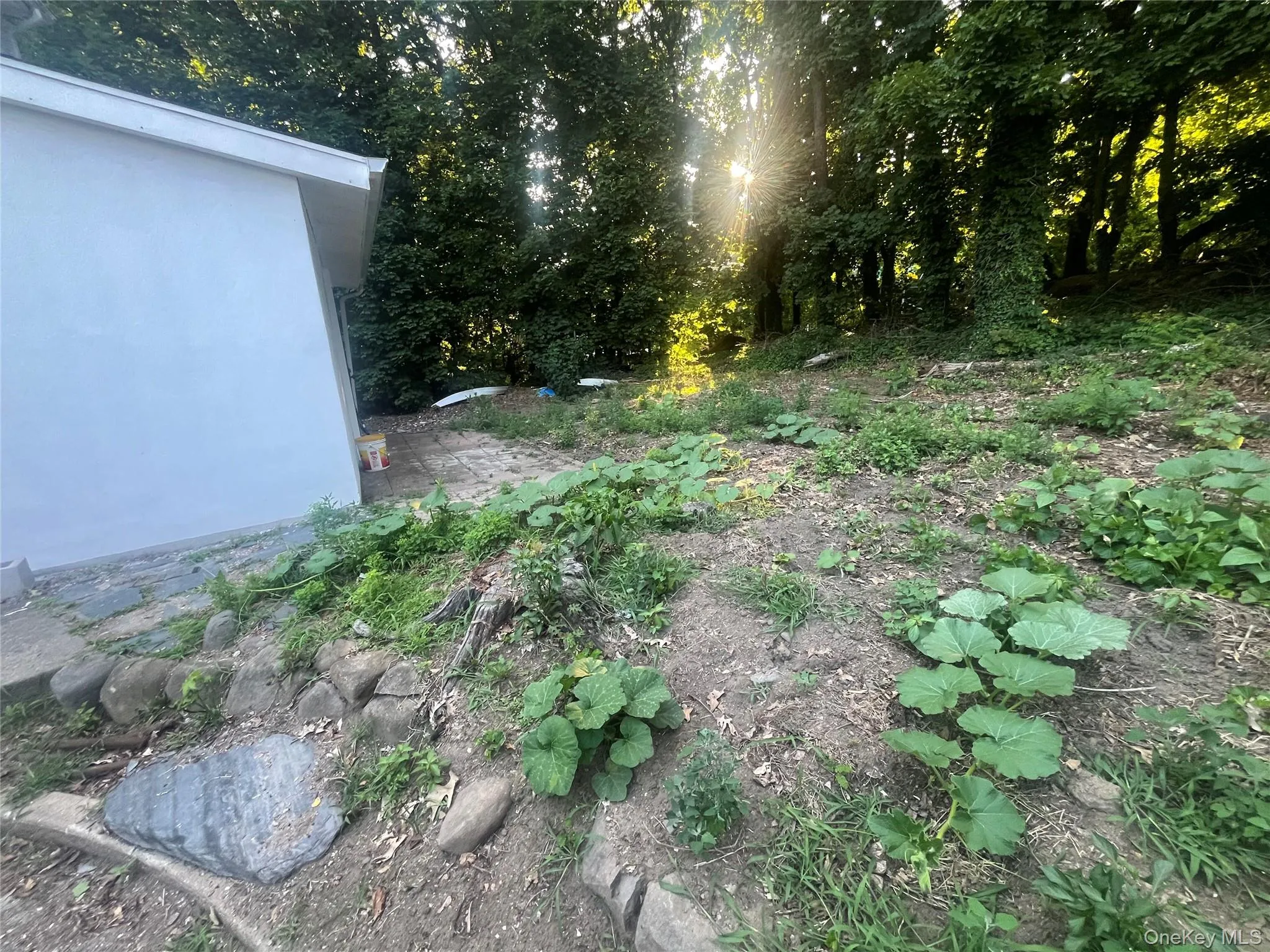 85th Road, New York, NY, 4 Bedrooms Bedrooms, 8 Rooms Rooms,1 BathroomBathrooms,Residential Lease,For Rent,Road,0,1048476 85th Road, New York, NY, 4 Bedrooms Bedrooms, 8 Rooms Rooms,1 BathroomBathrooms,Residential Lease,For Rent,Road,0,1048476