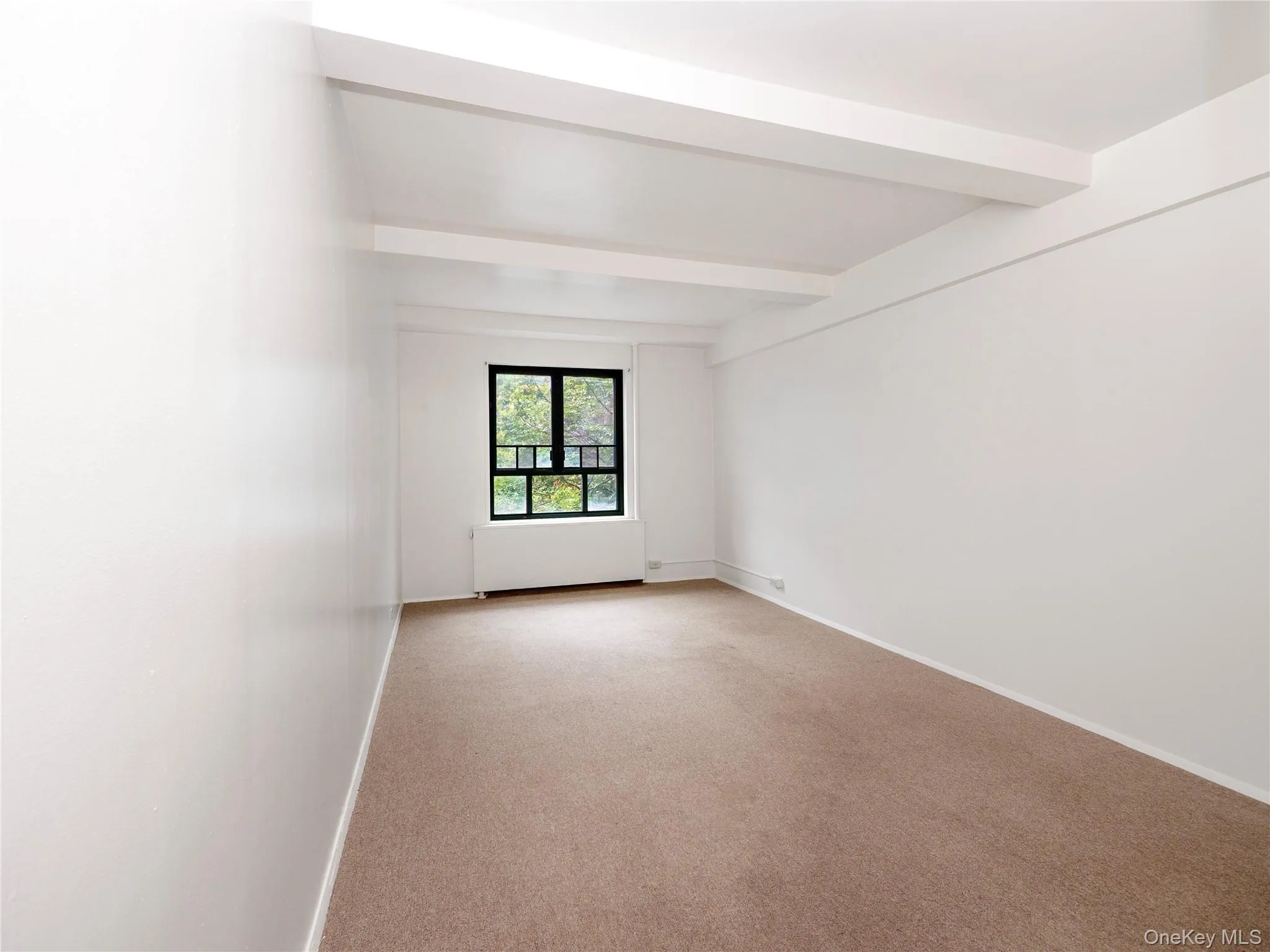 Expansive room with neutral carpeting, white walls, and a beamed ceiling Expansive room with neutral carpeting, white walls, and a beamed ceiling