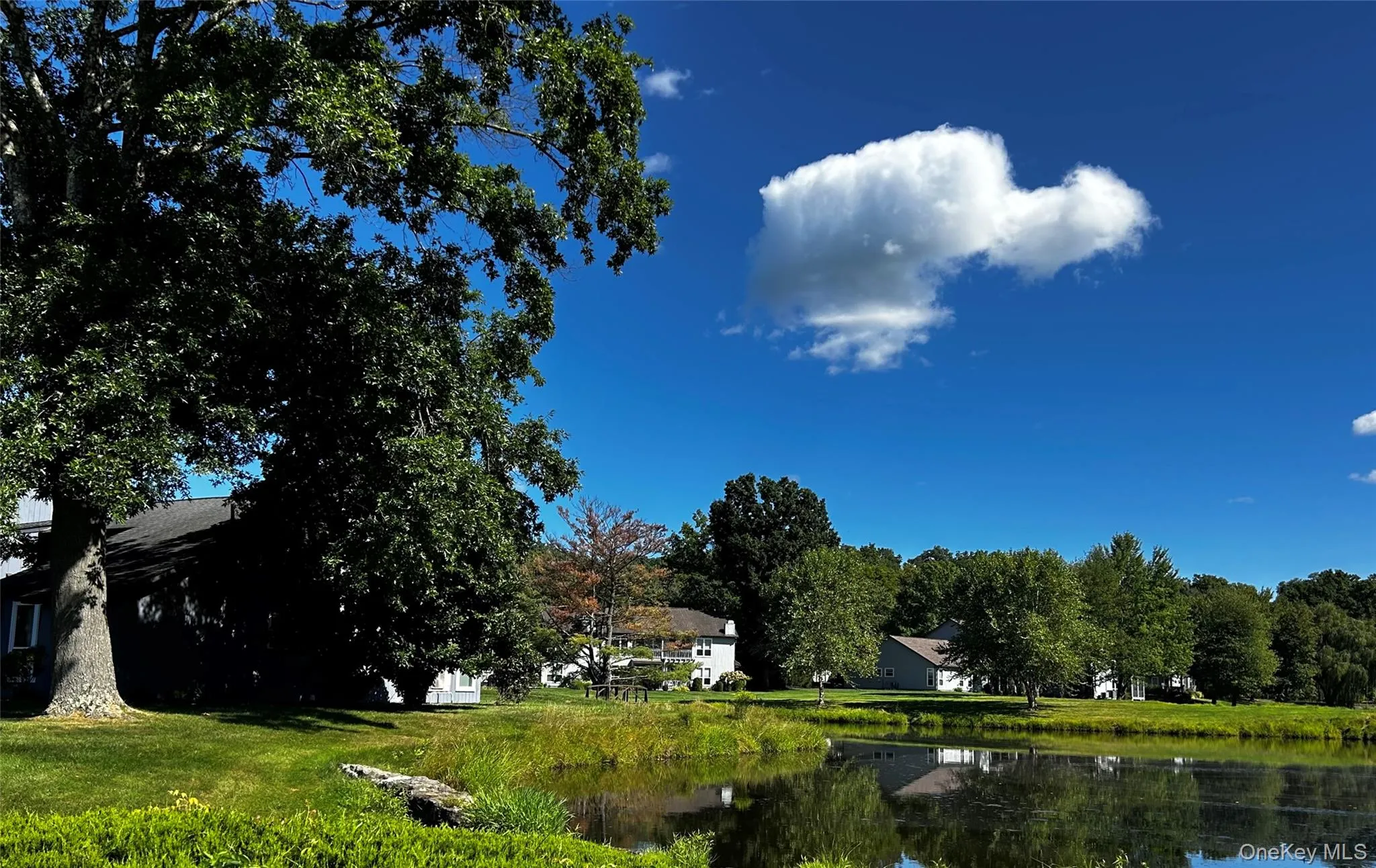 56 Pond Drive, Rhinebeck, NY, 2 Bedrooms Bedrooms, 4 Rooms Rooms,2 BathroomsBathrooms,Residential,For Rent,Pond,0,1048507 56 Pond Drive, Rhinebeck, NY, 2 Bedrooms Bedrooms, 4 Rooms Rooms,2 BathroomsBathrooms,Residential,For Rent,Pond,0,1048507