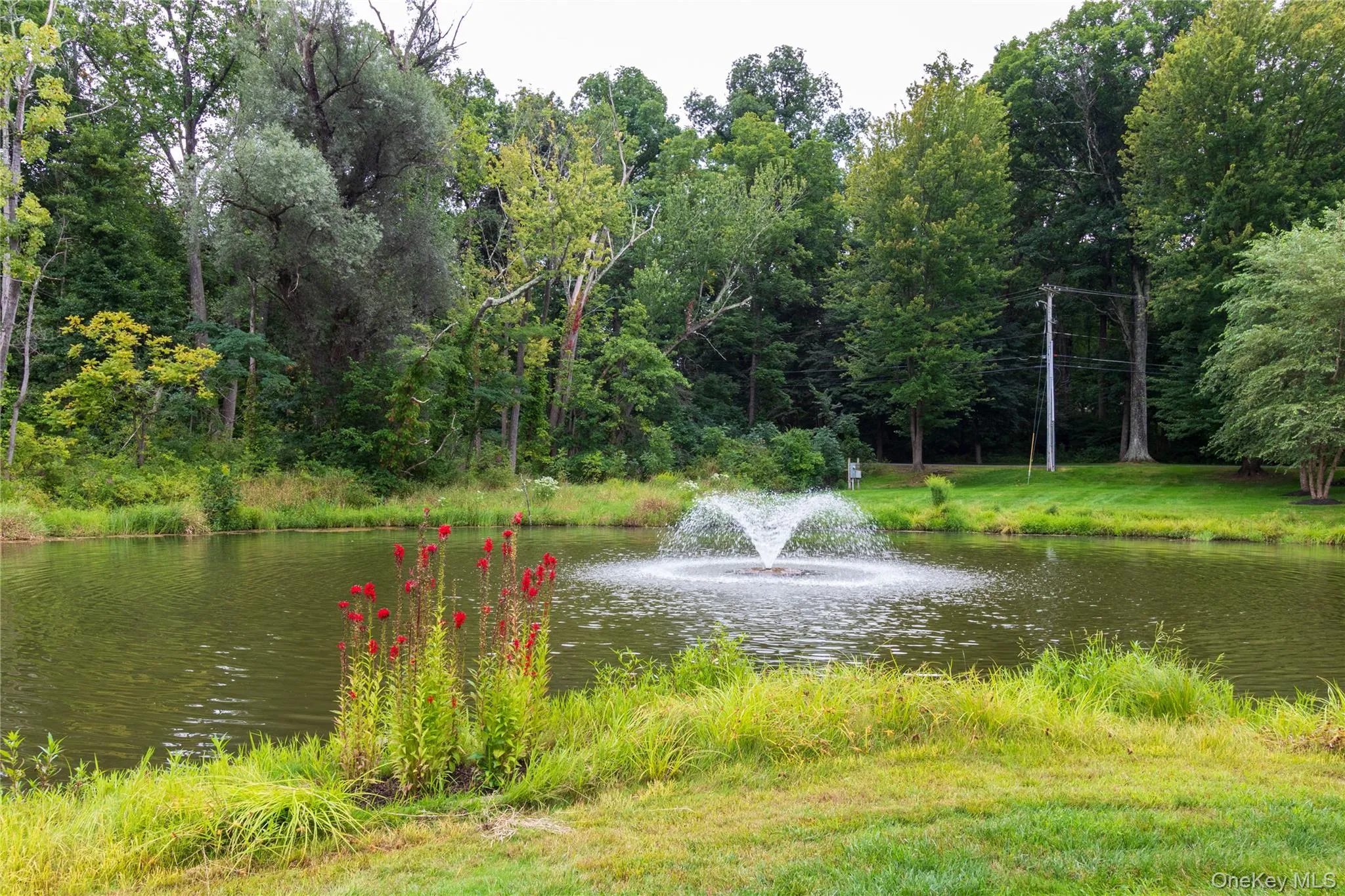 56 Pond Drive, Rhinebeck, NY, 2 Bedrooms Bedrooms, 4 Rooms Rooms,2 BathroomsBathrooms,Residential,For Rent,Pond,0,1048507 56 Pond Drive, Rhinebeck, NY, 2 Bedrooms Bedrooms, 4 Rooms Rooms,2 BathroomsBathrooms,Residential,For Rent,Pond,0,1048507