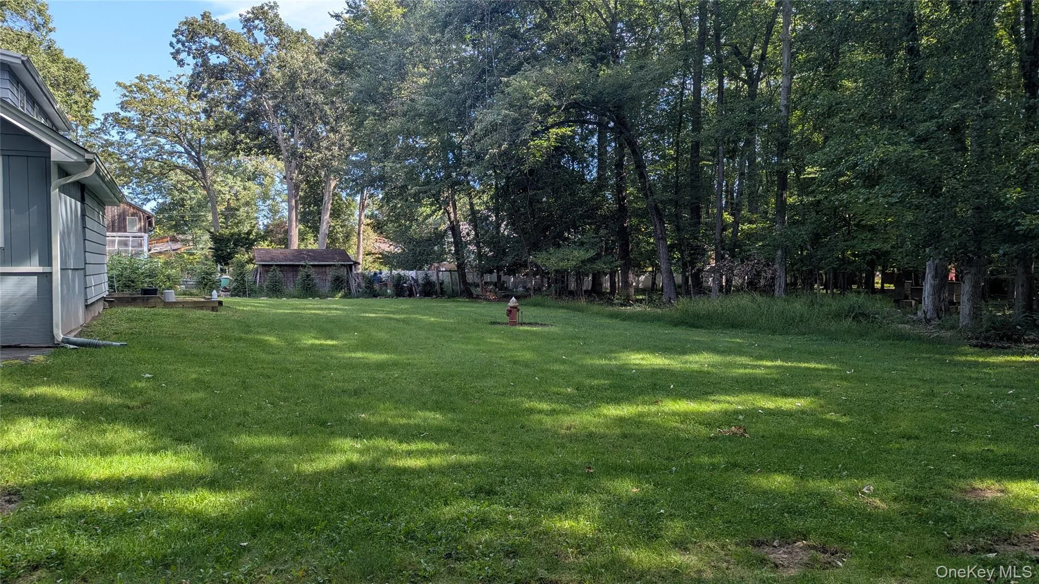 Expansive green lawn with mature trees bordering the property Expansive green lawn with mature trees bordering the property