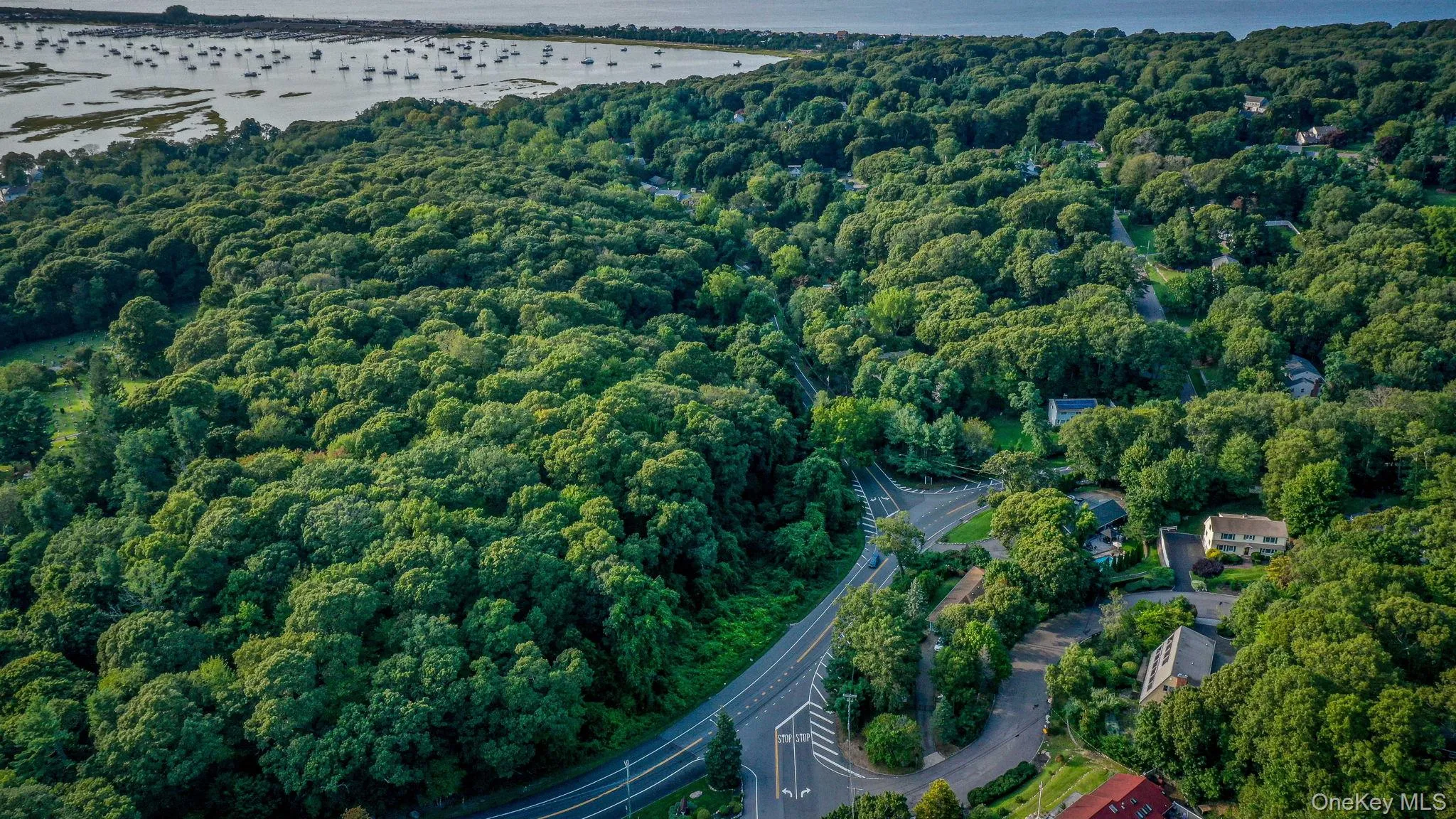 4 Hill Dale Avenue, Brookhaven, NY, 4 Bedrooms Bedrooms, 10 Rooms Rooms,3 BathroomsBathrooms,Residential,For Rent,Hill Dale,0,1048513 4 Hill Dale Avenue, Brookhaven, NY, 4 Bedrooms Bedrooms, 10 Rooms Rooms,3 BathroomsBathrooms,Residential,For Rent,Hill Dale,0,1048513