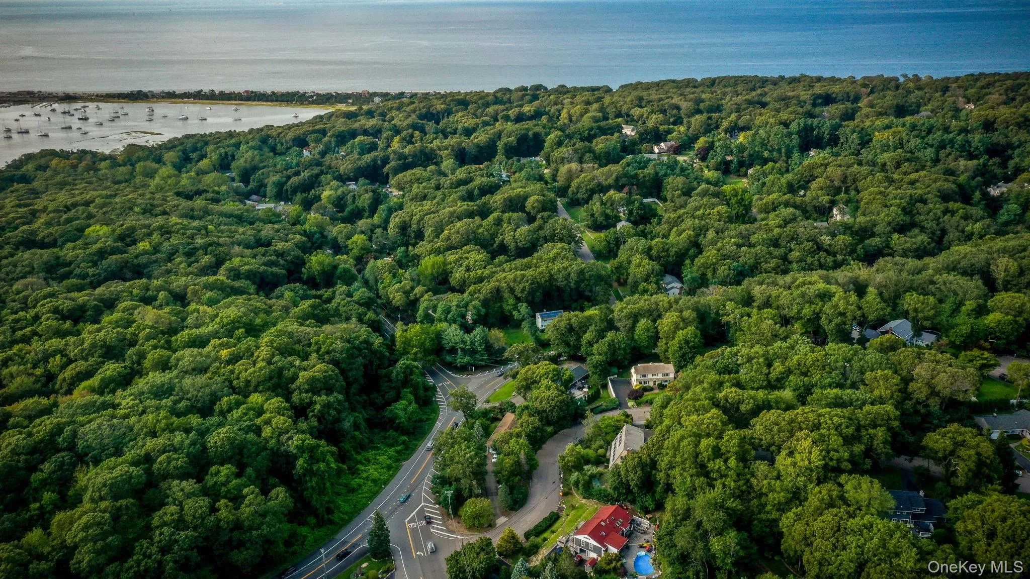 4 Hill Dale Avenue, Brookhaven, NY, 4 Bedrooms Bedrooms, 10 Rooms Rooms,3 BathroomsBathrooms,Residential,For Rent,Hill Dale,0,1048513 4 Hill Dale Avenue, Brookhaven, NY, 4 Bedrooms Bedrooms, 10 Rooms Rooms,3 BathroomsBathrooms,Residential,For Rent,Hill Dale,0,1048513