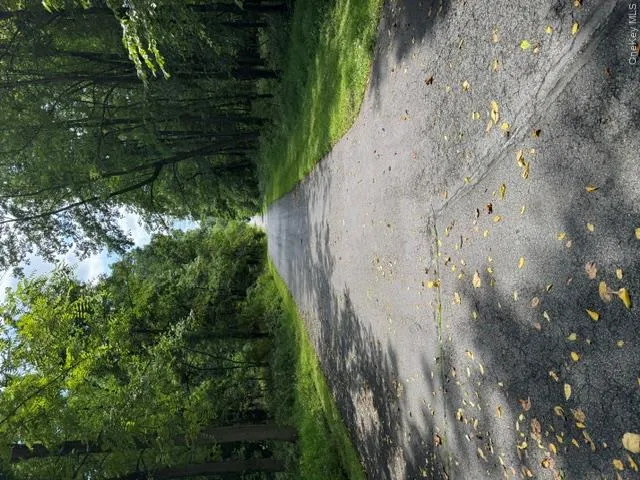 81 PINE ISLAND Turnpike, Warwick (town), NY, 4 Bedrooms Bedrooms, 6 Rooms Rooms,3 BathroomsBathrooms,Residential,For Rent,PINE ISLAND,0,1048562 81 PINE ISLAND Turnpike, Warwick (town), NY, 4 Bedrooms Bedrooms, 6 Rooms Rooms,3 BathroomsBathrooms,Residential,For Rent,PINE ISLAND,0,1048562