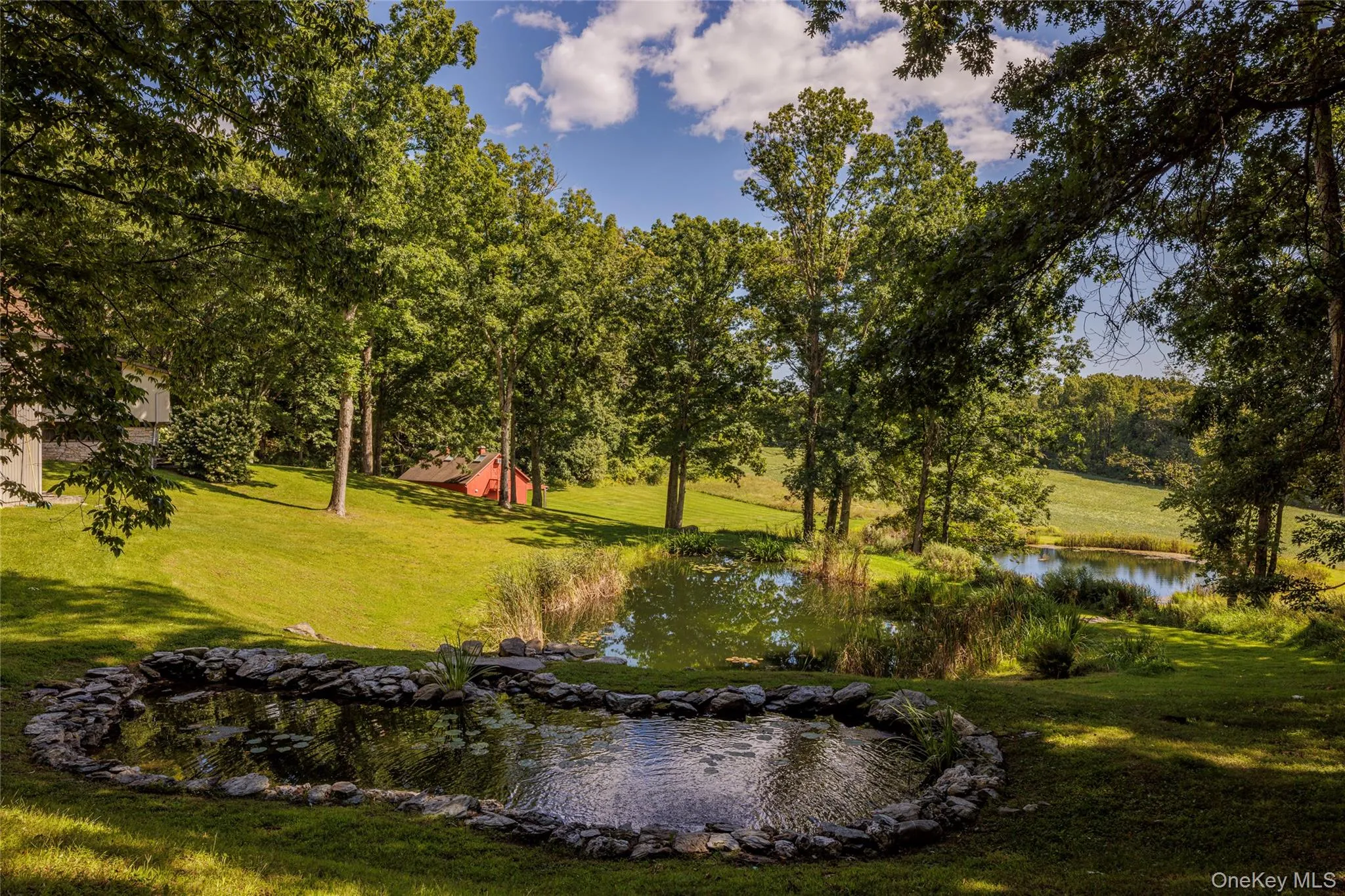 Masterfully designed stepping ponds. Masterfully designed stepping ponds.