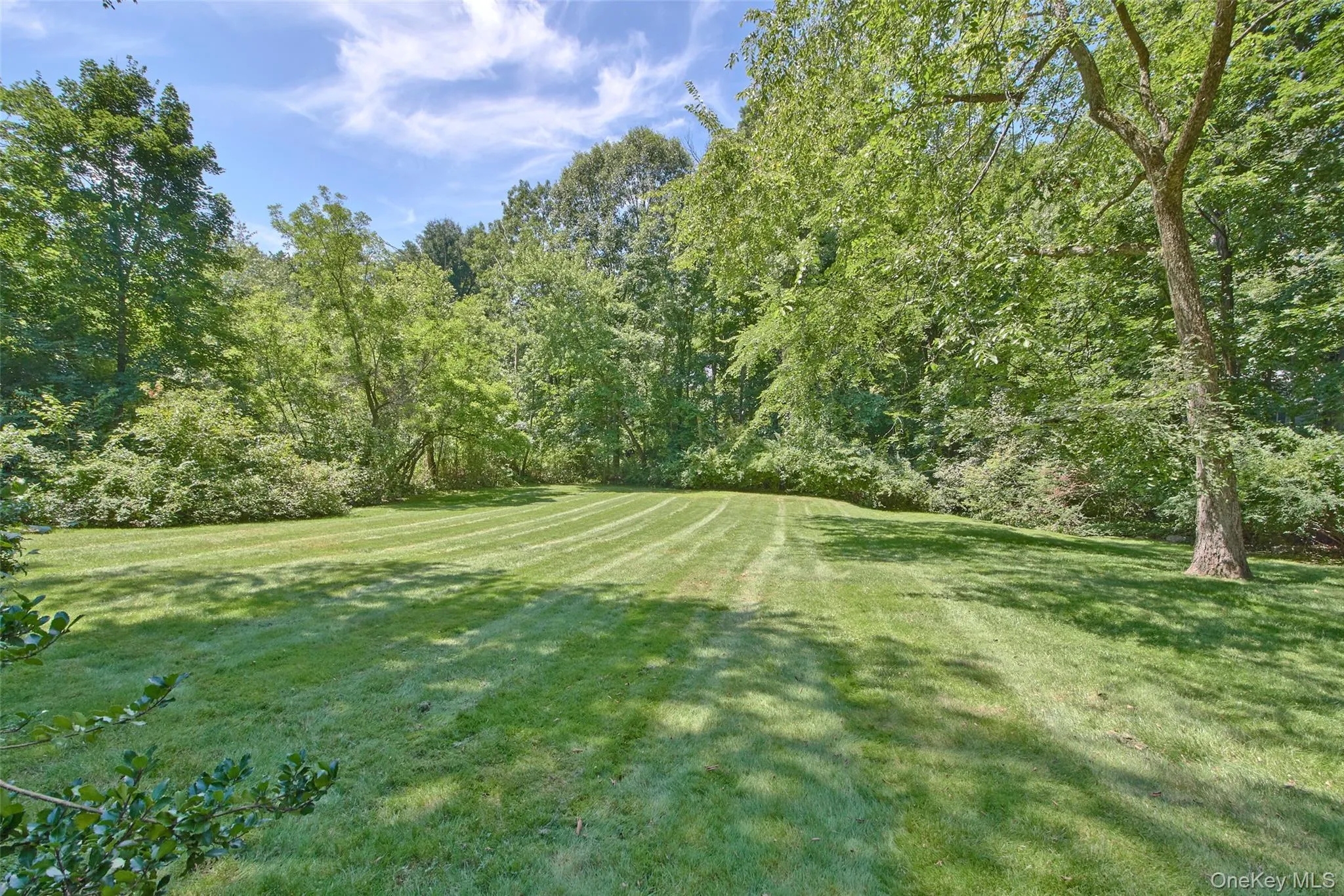 Over an acre of flat land Over an acre of flat land