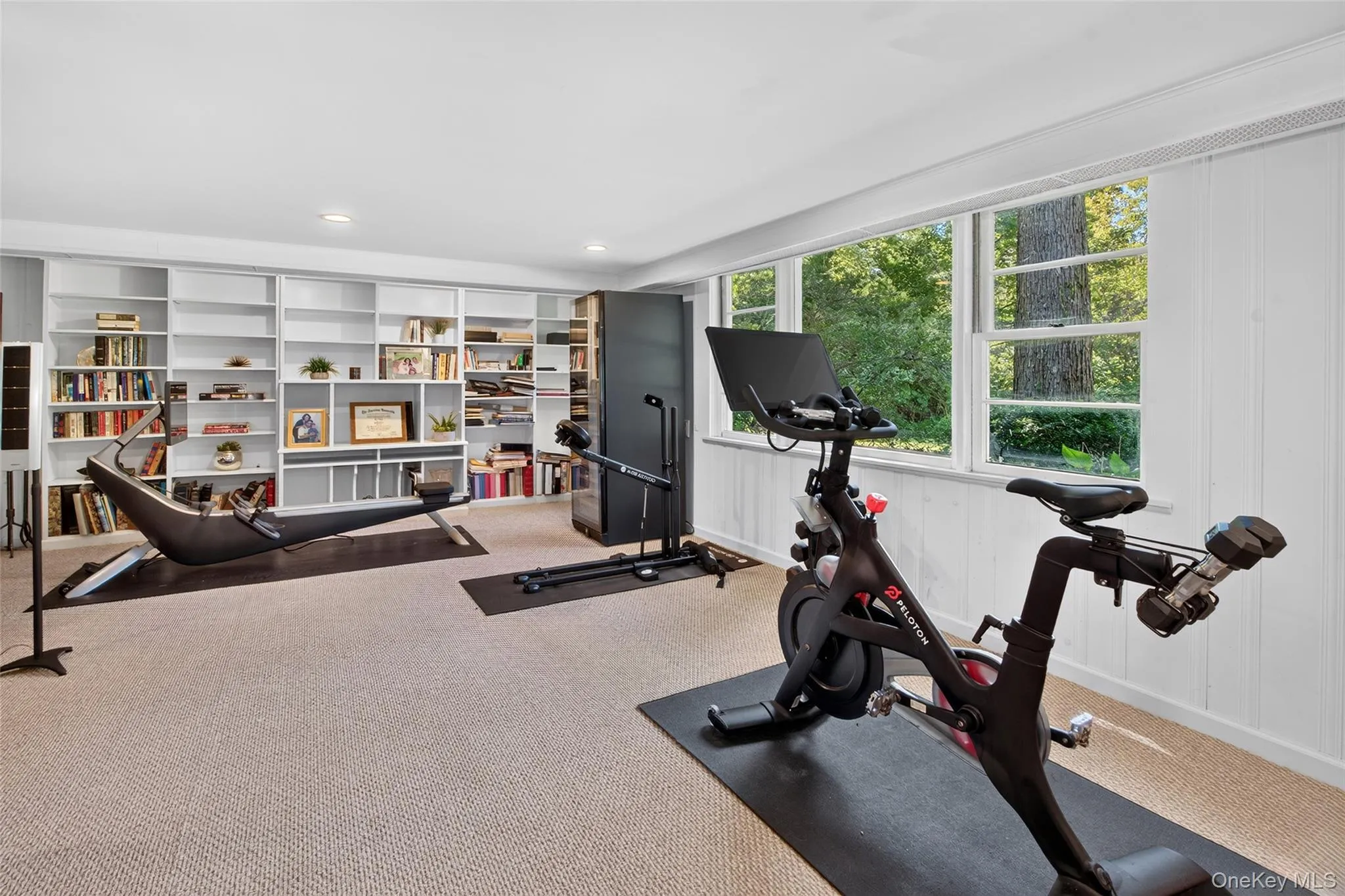 Huge lower level family room Huge lower level family room