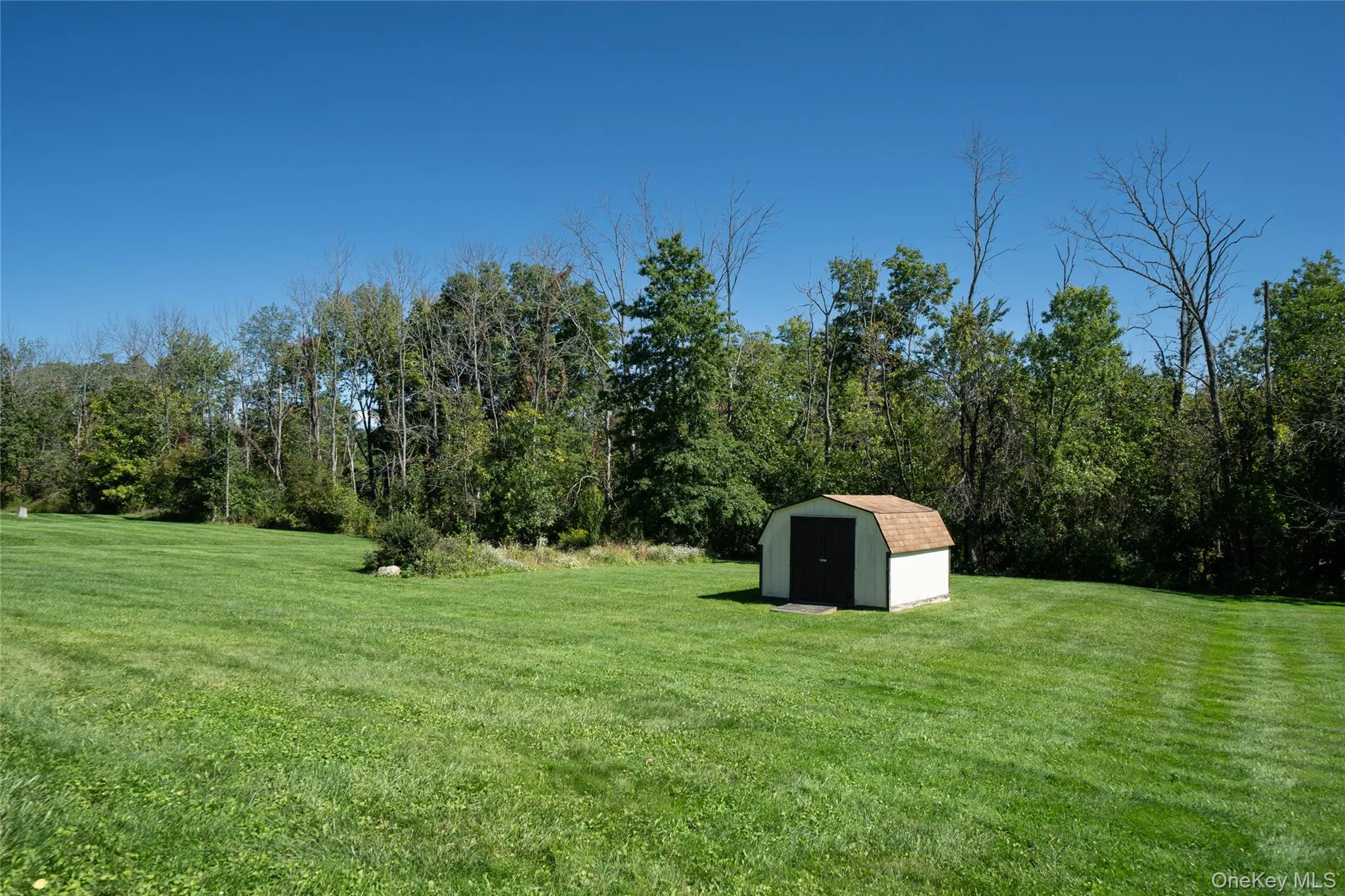 Shed Shed