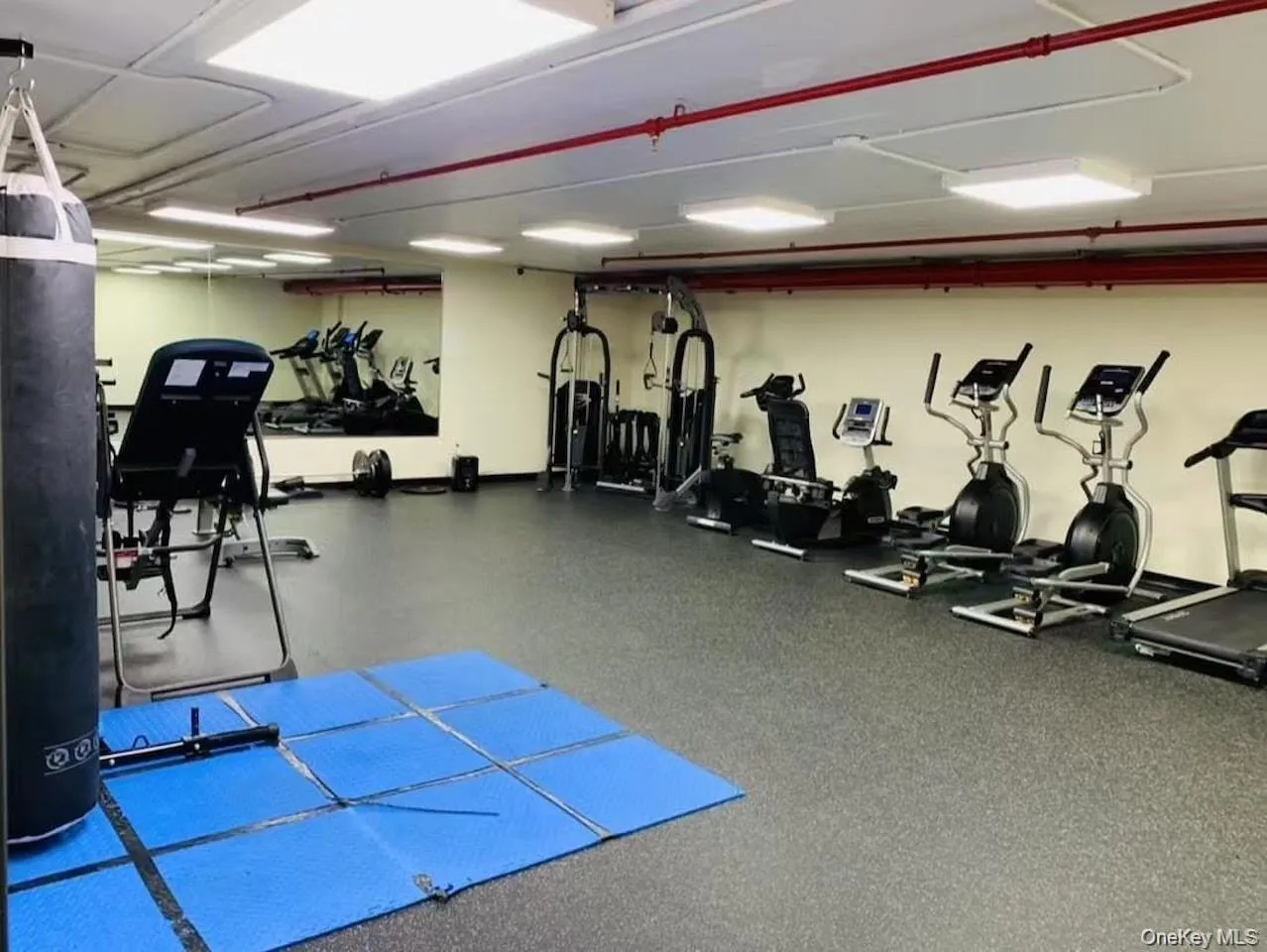 14238 37th Avenue, New York, NY, 1 Bedroom Bedrooms, 3 Rooms Rooms,1 BathroomBathrooms,Residential,For Rent,37th,0,1048651 14238 37th Avenue, New York, NY, 1 Bedroom Bedrooms, 3 Rooms Rooms,1 BathroomBathrooms,Residential,For Rent,37th,0,1048651