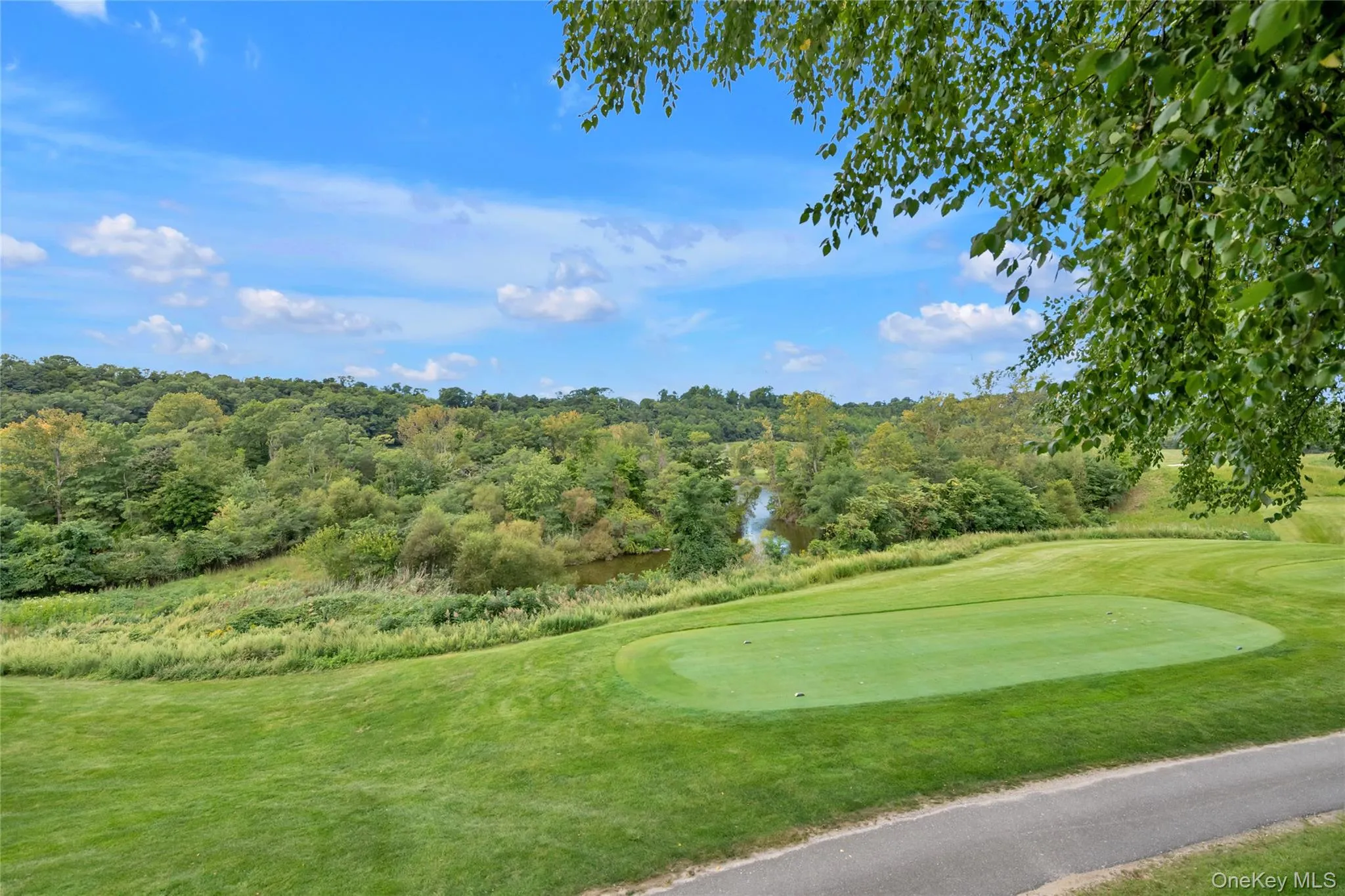 95 Overlook, North Hempstead, NY, 3 Bedrooms Bedrooms, 8 Rooms Rooms,2 BathroomsBathrooms,Residential,For Rent,Overlook,0,1048676 95 Overlook, North Hempstead, NY, 3 Bedrooms Bedrooms, 8 Rooms Rooms,2 BathroomsBathrooms,Residential,For Rent,Overlook,0,1048676