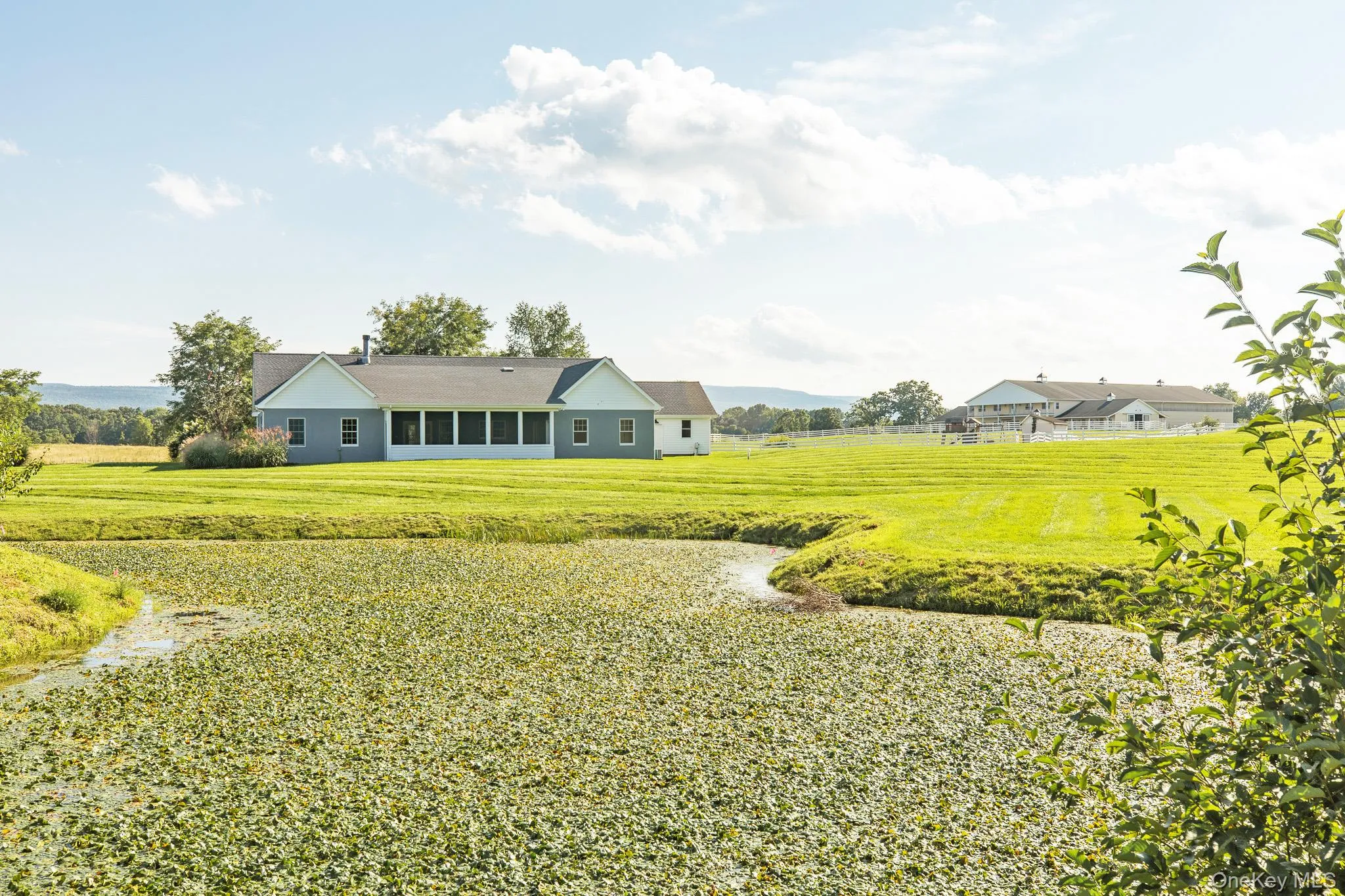 30 Loosestrife Lane, Rochester, NY, 3 Bedrooms Bedrooms, 13 Rooms Rooms,2 BathroomsBathrooms,Residential,For Rent,Loosestrife,0,1048691 30 Loosestrife Lane, Rochester, NY, 3 Bedrooms Bedrooms, 13 Rooms Rooms,2 BathroomsBathrooms,Residential,For Rent,Loosestrife,0,1048691