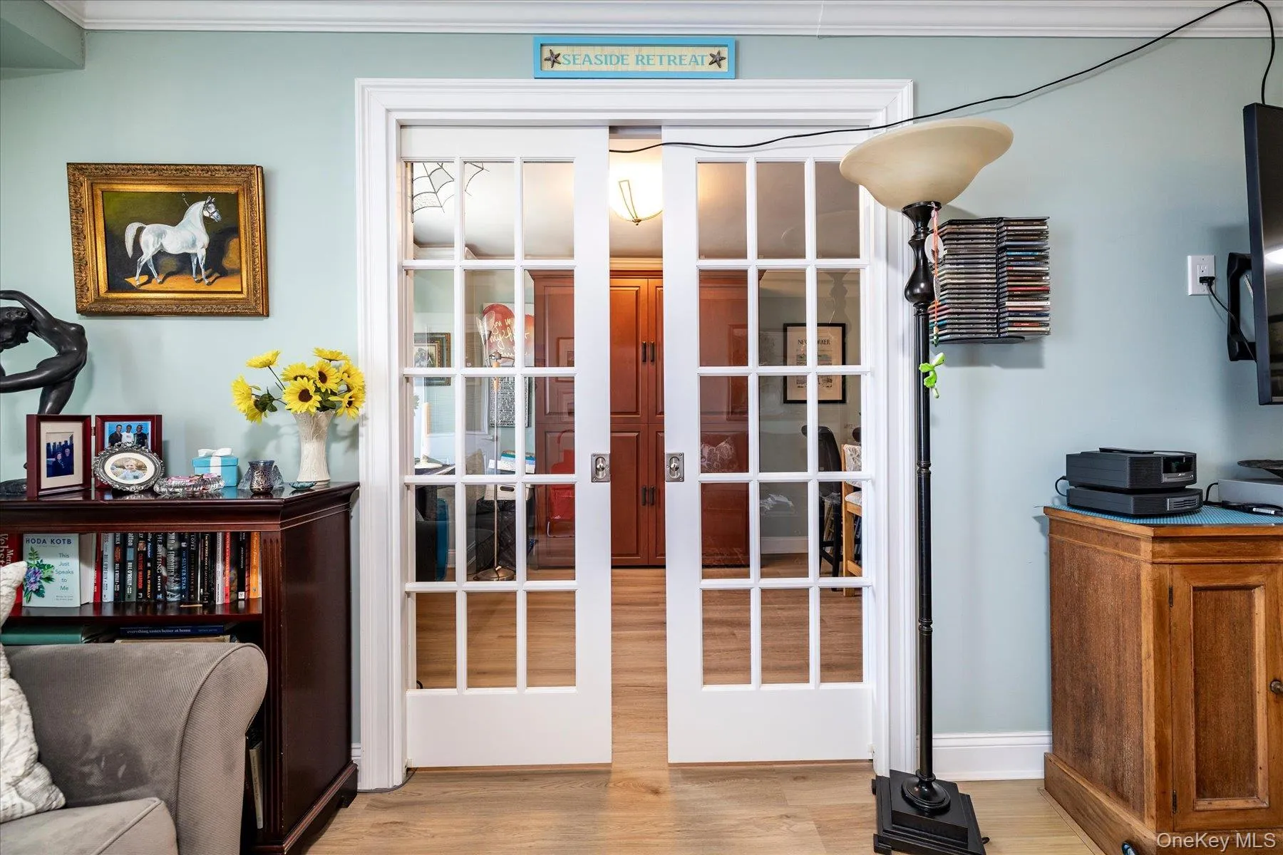 pocket door pocket door